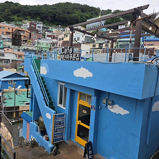 계단 위 푸른집 음료