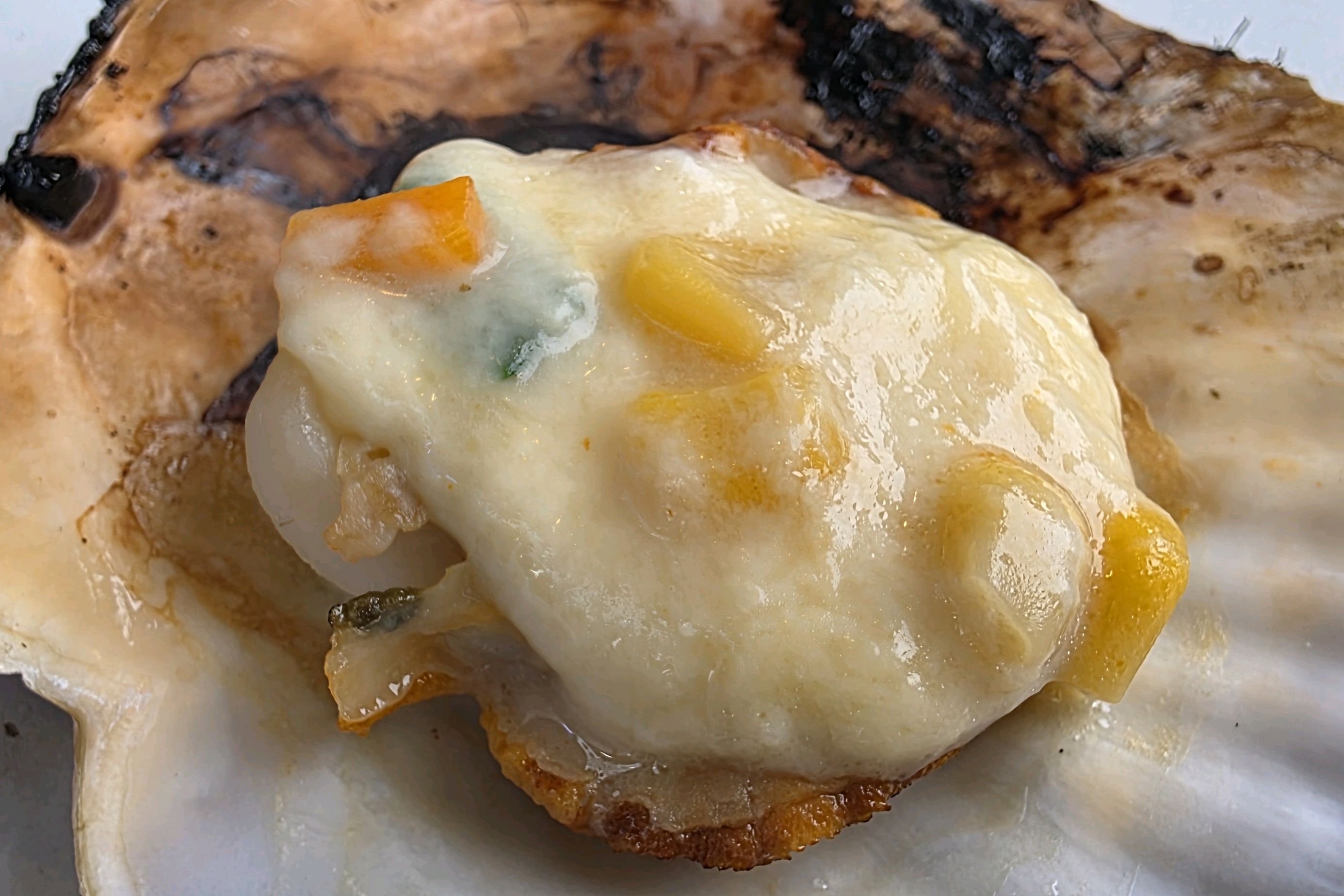 속초조개구이 바다다조개다 (Sokcho Jogaegui Badada Jogaeda) 10