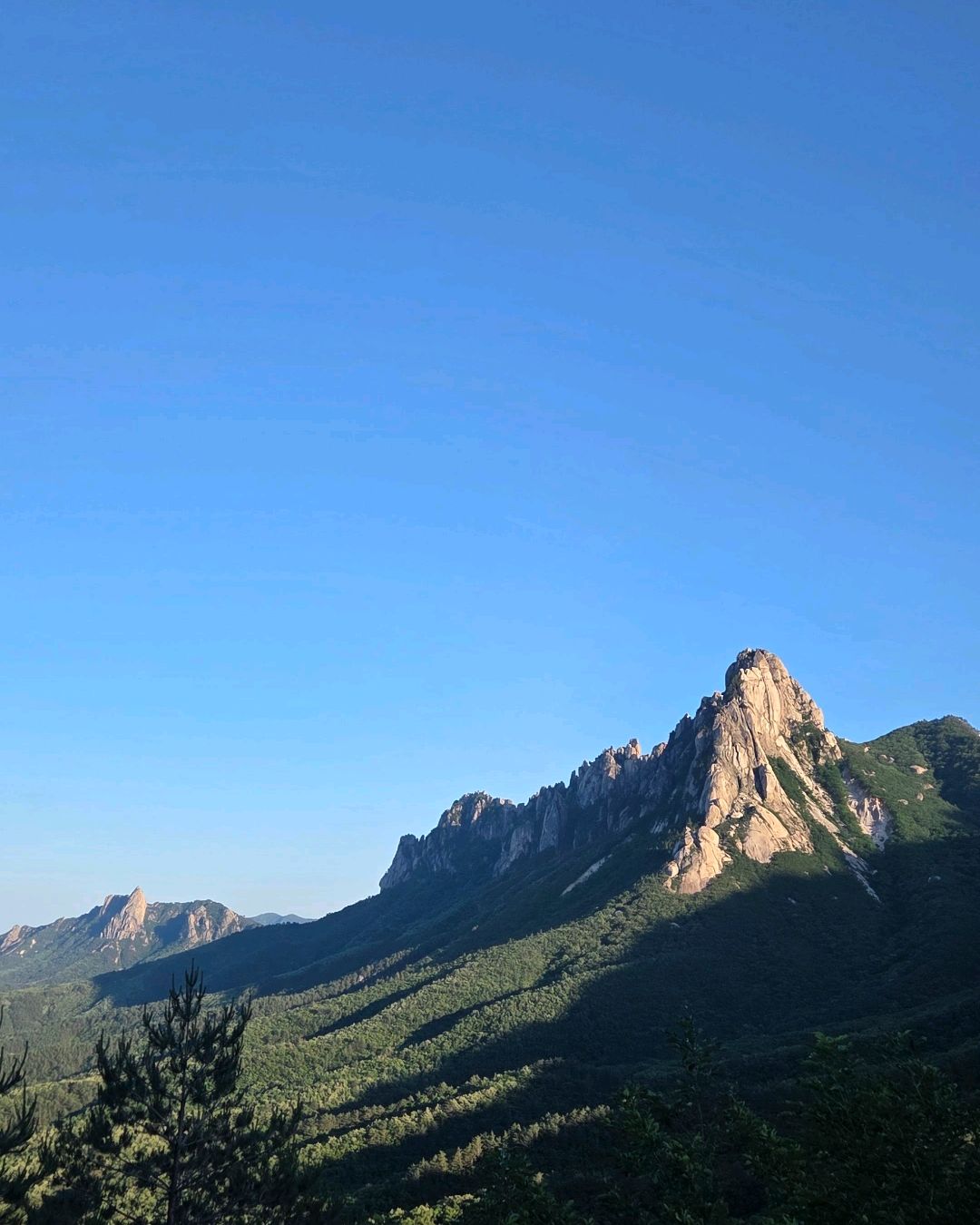 북청닭강정 본점