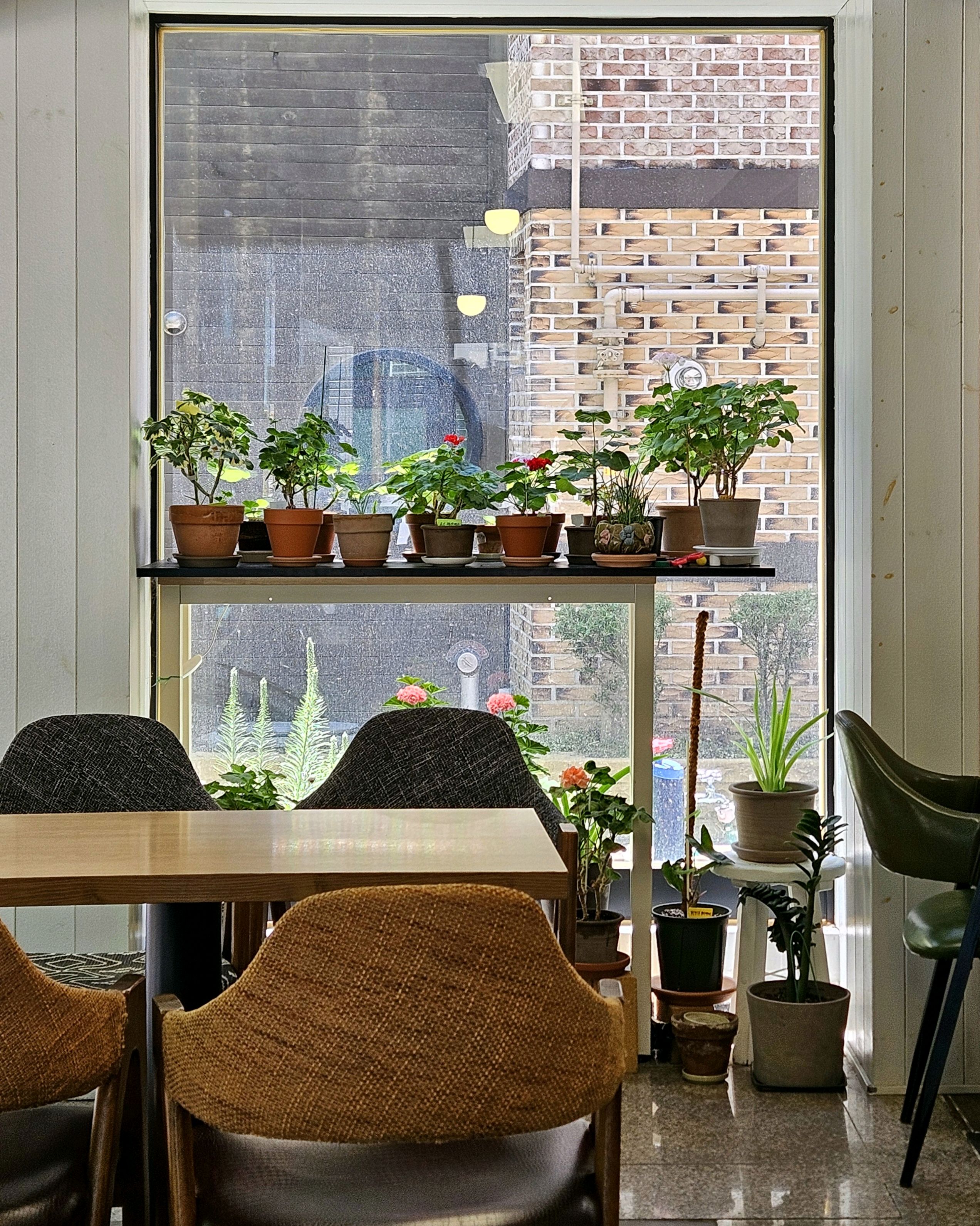Cafe Lab