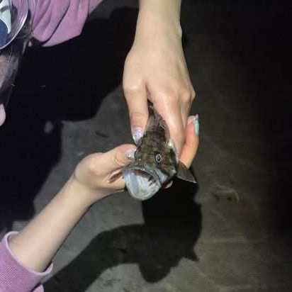 CU 속초대포항길점 3