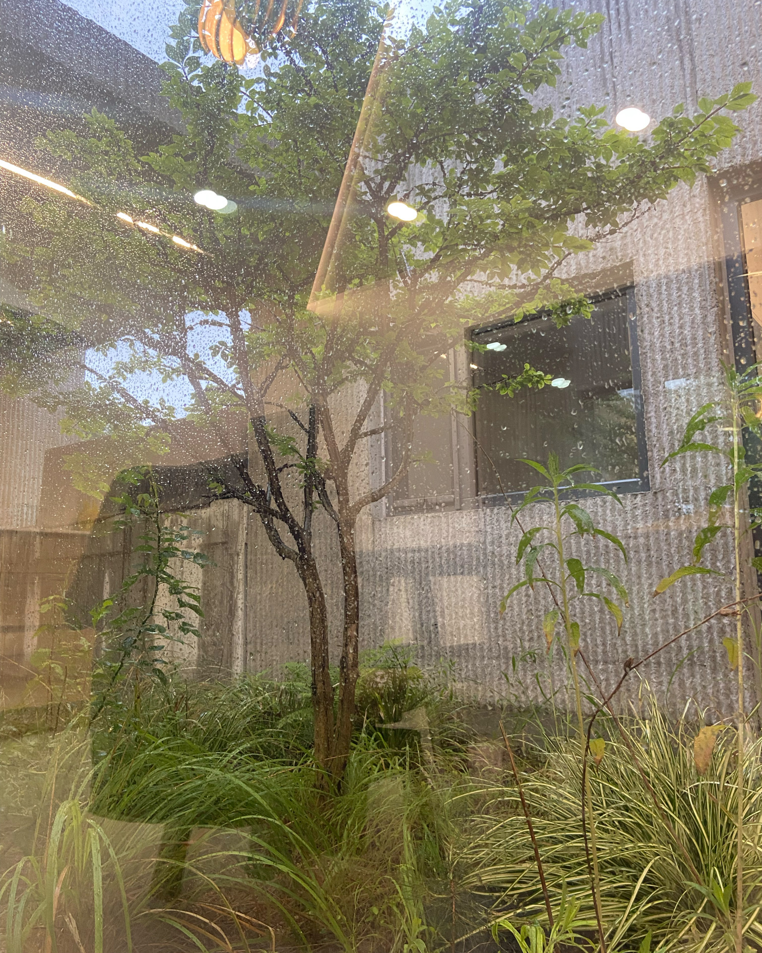 스테이모로 10