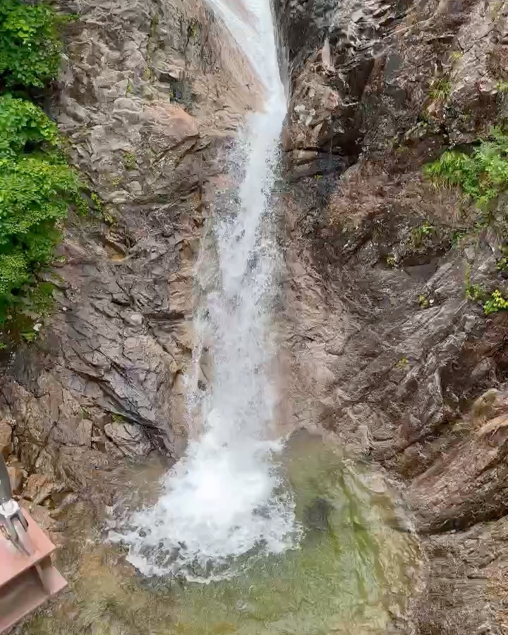속초휘테 5