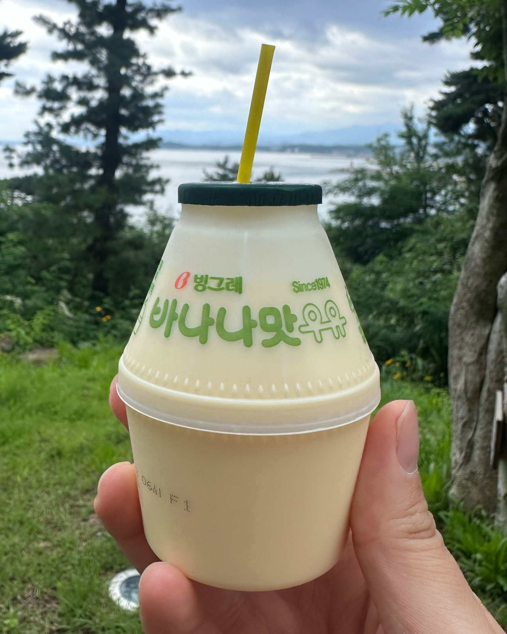 세븐일레븐 속초롯데리조트점 (7-Eleven Sokcho Lotte Resort Branch) 4
