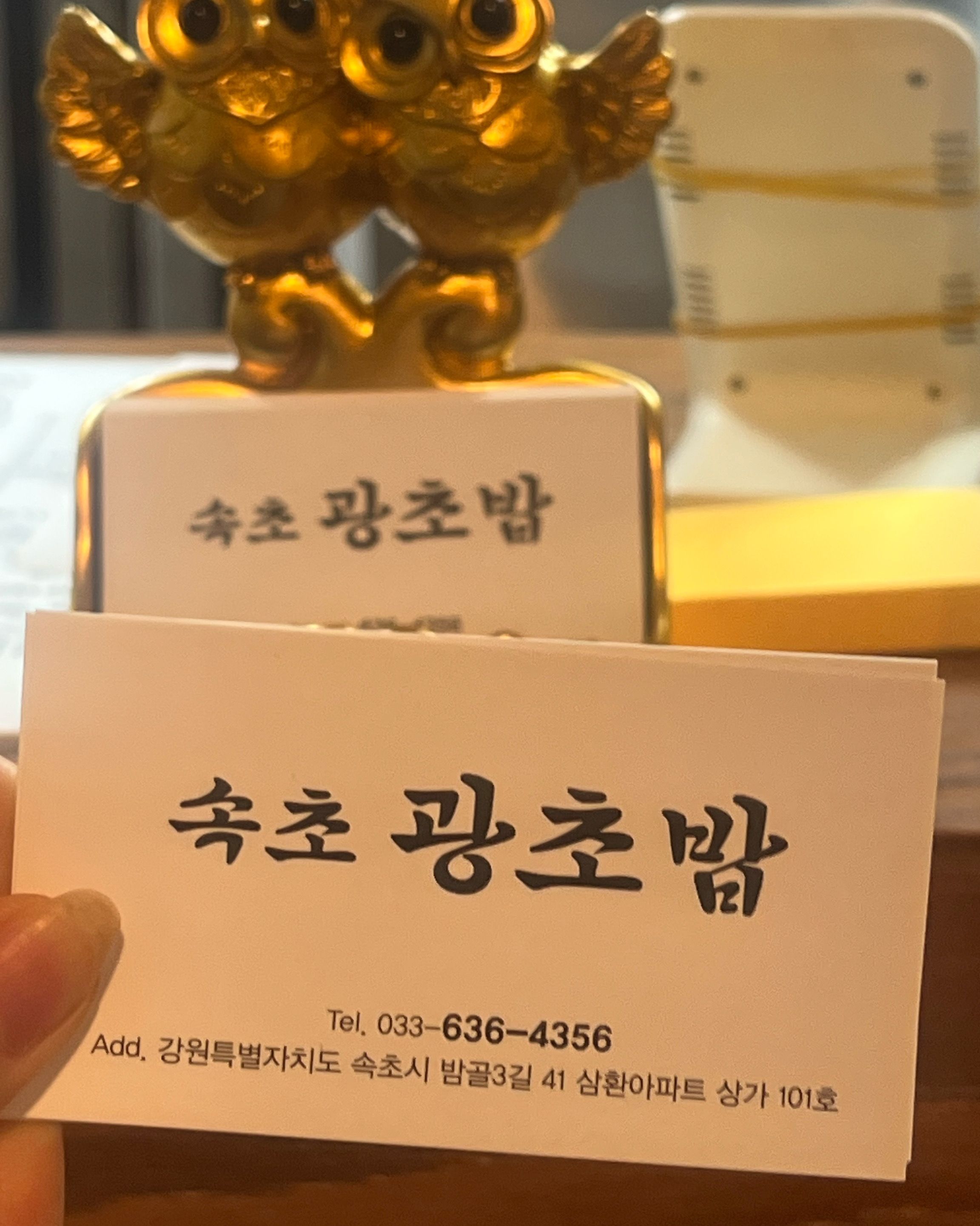 속초광초밥 7