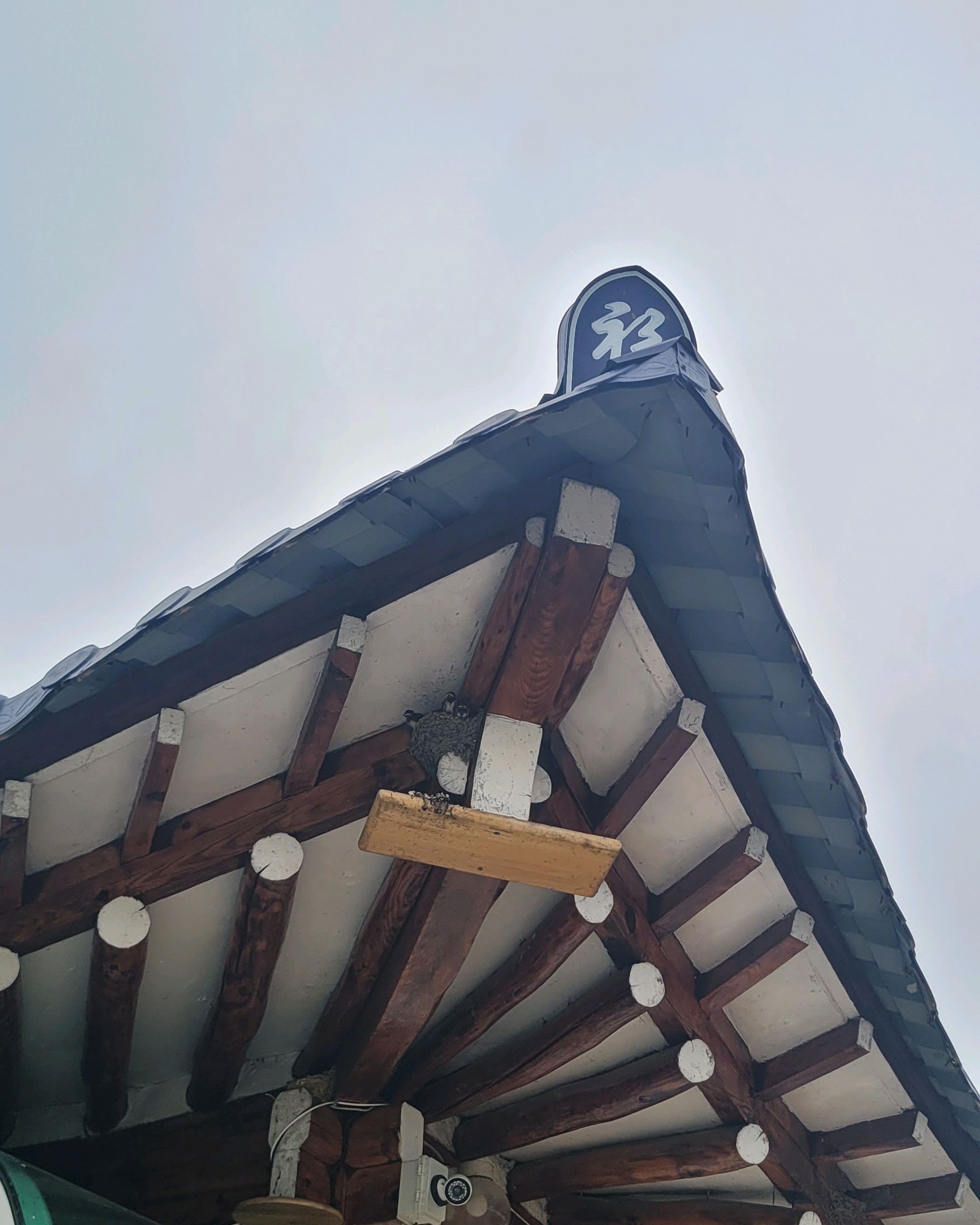 속초훼미리민박 (Sokcho Family Minbak) 6