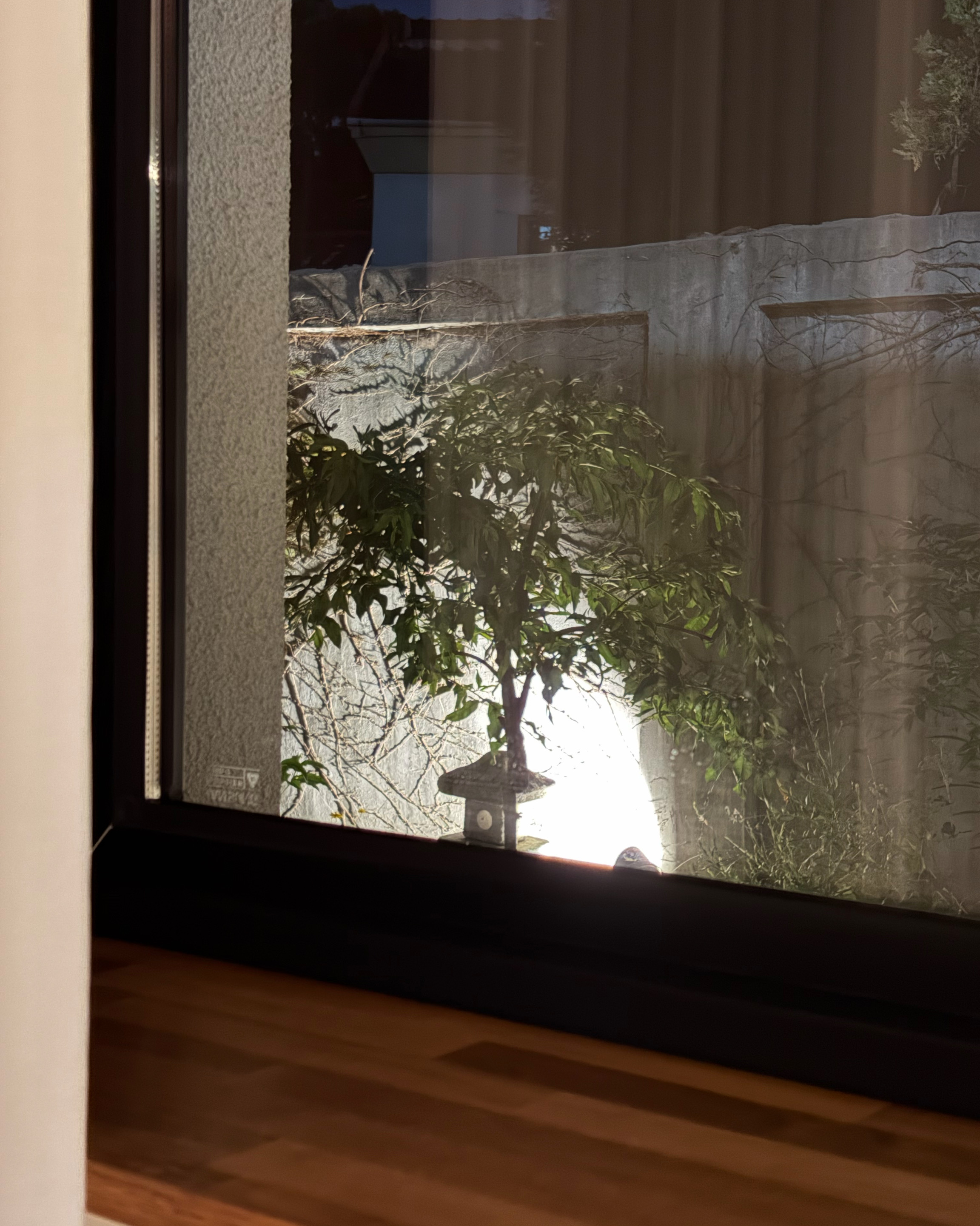 유리창 밖으로 조명을 받는 작은 석등과 정원수, 담장이 보입니다.