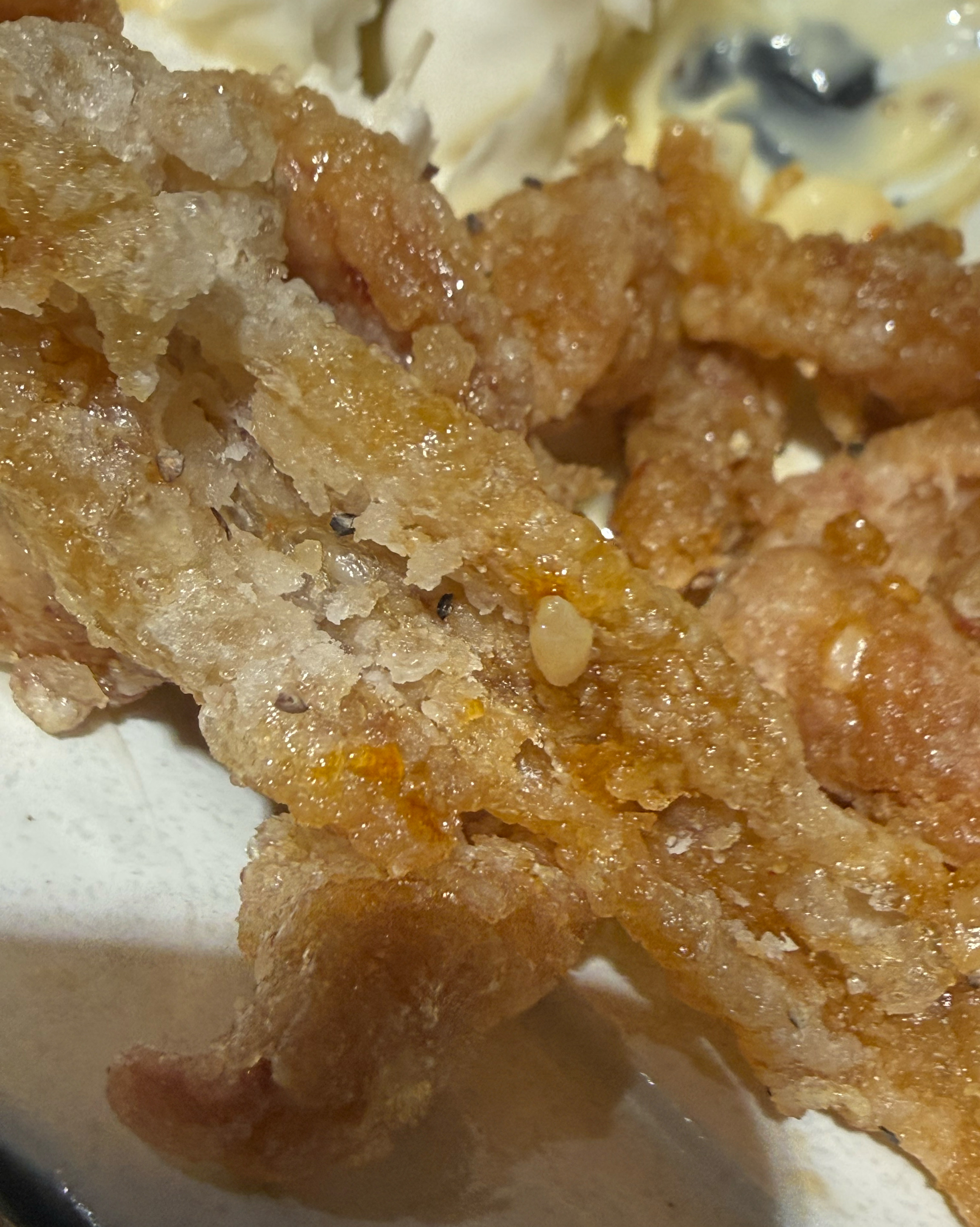 Fried chicken skin