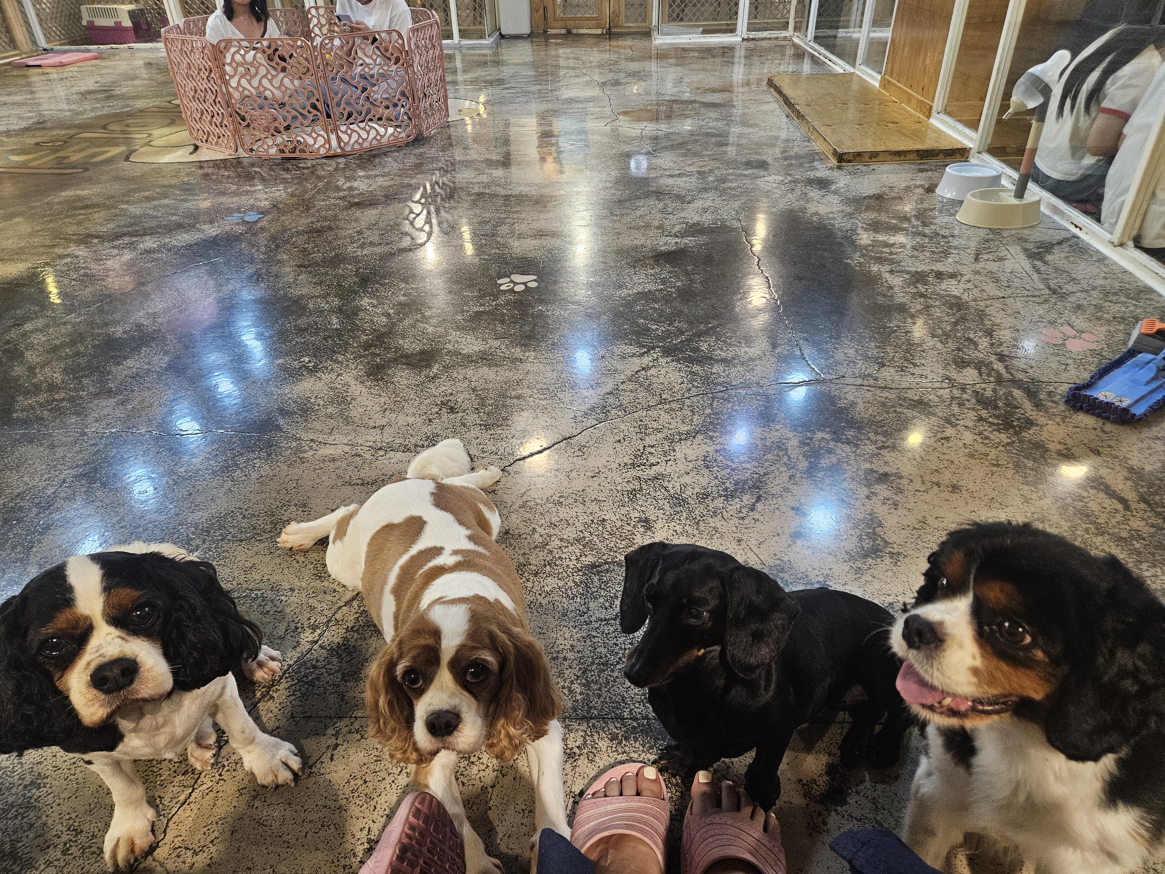 Visitor review