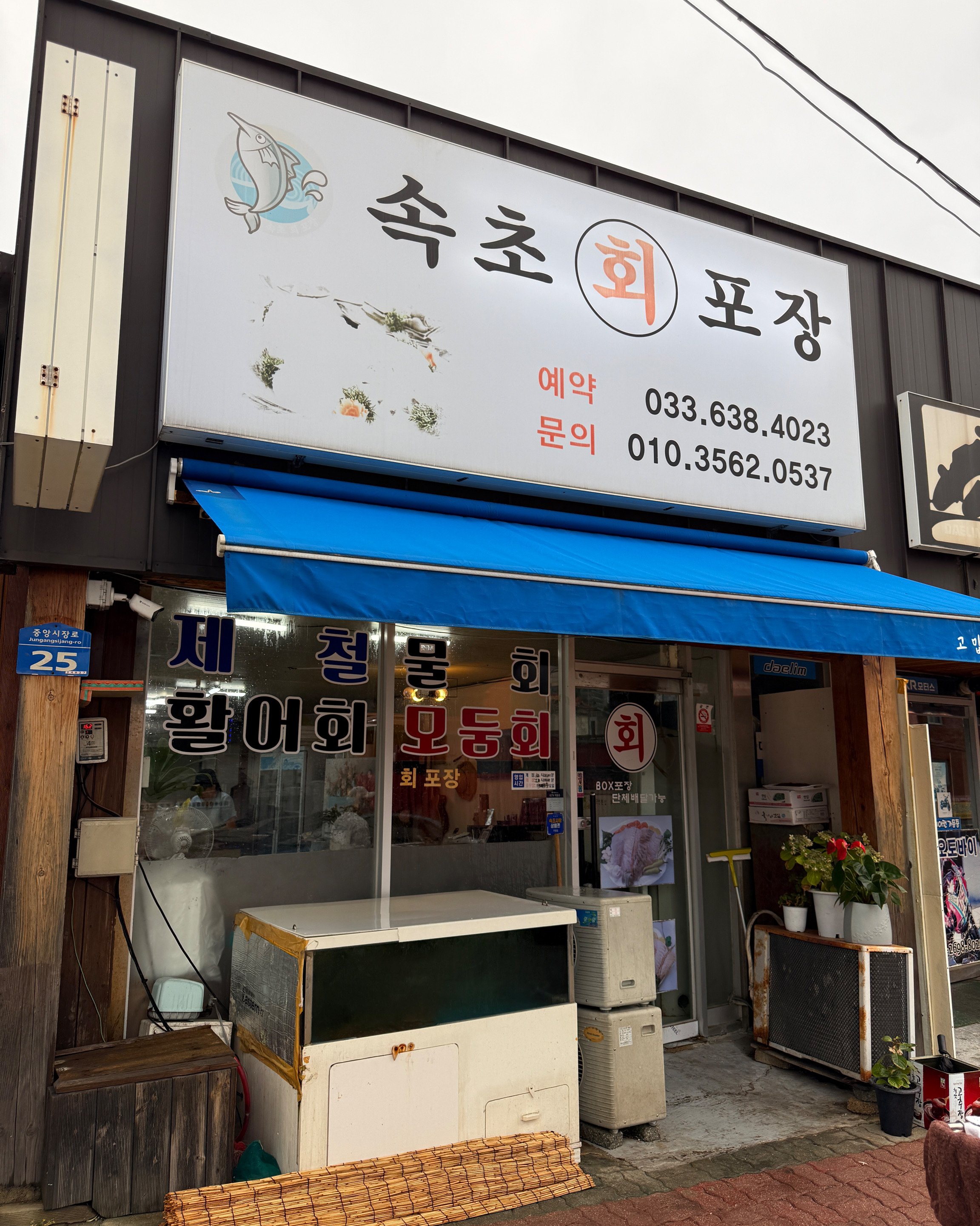 속초회포장 9