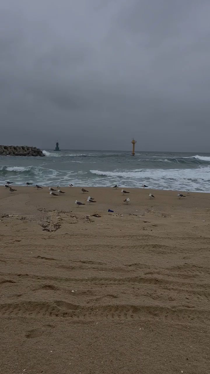 속초해수욕장