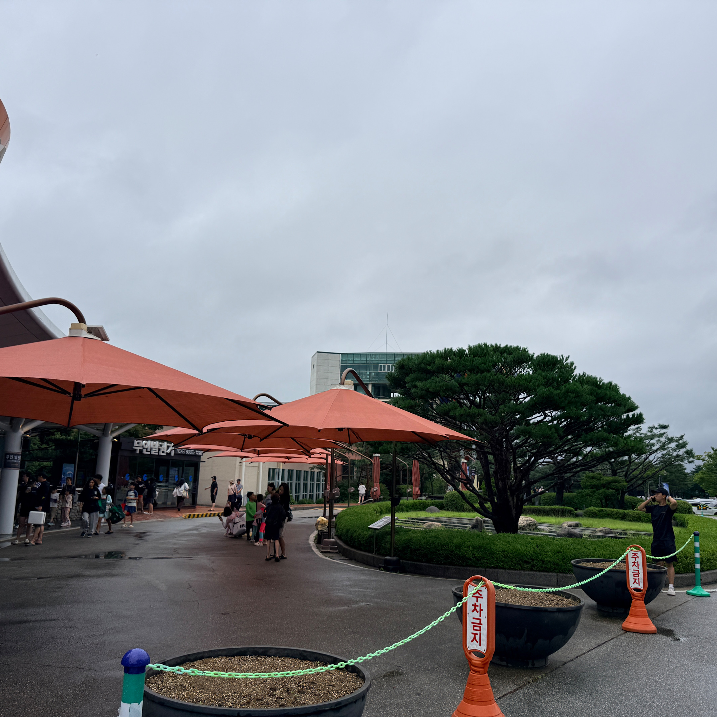 한화리조트 설악 워터피아 (Hanwha Resort Seorak Waterpia) 7