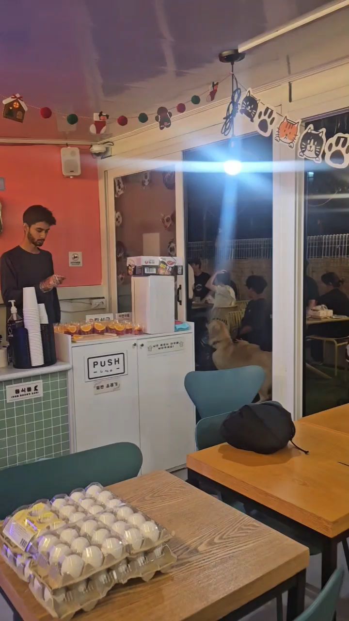 도글리아호텔 6
