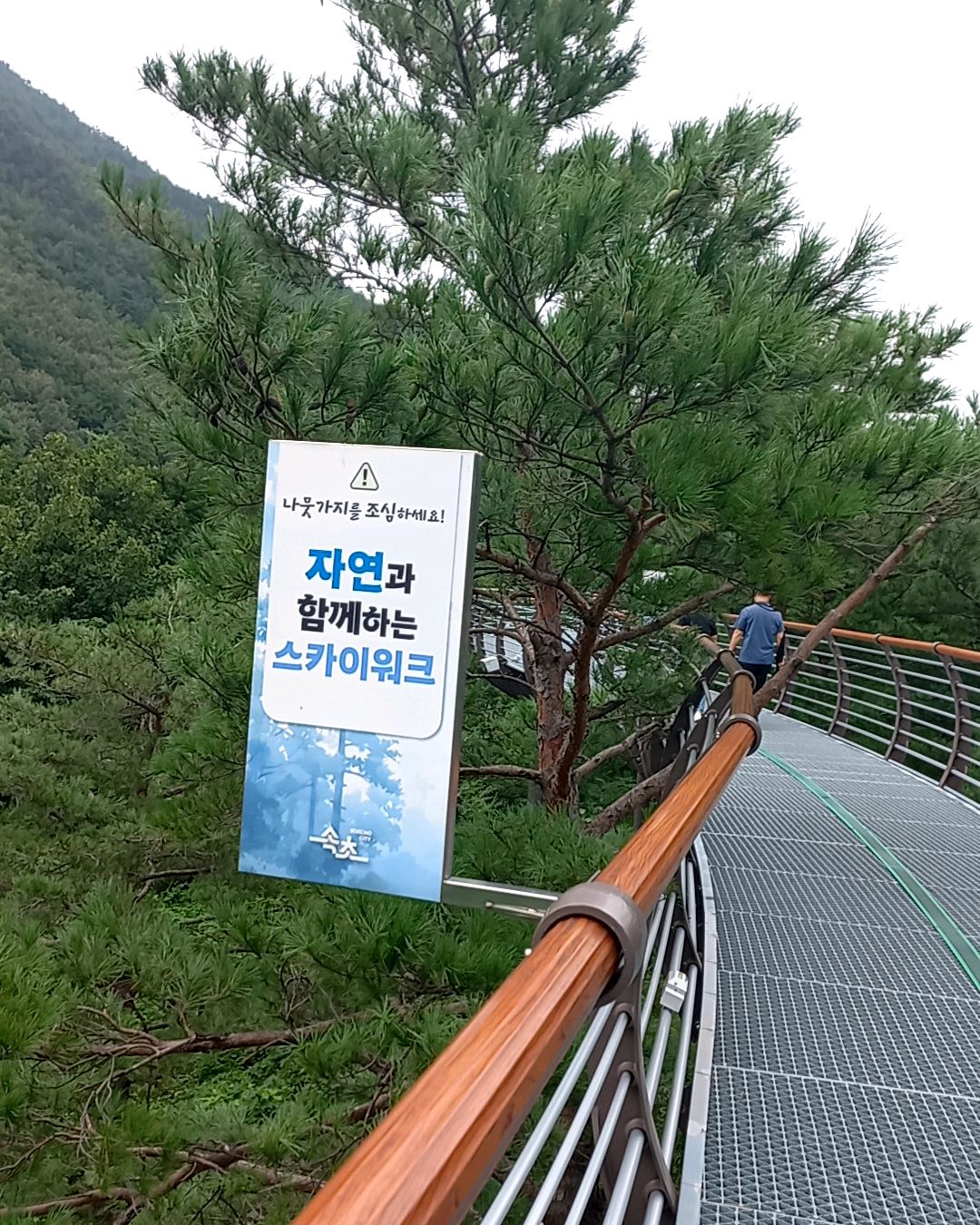 설악산과동해바다그리고온천 8