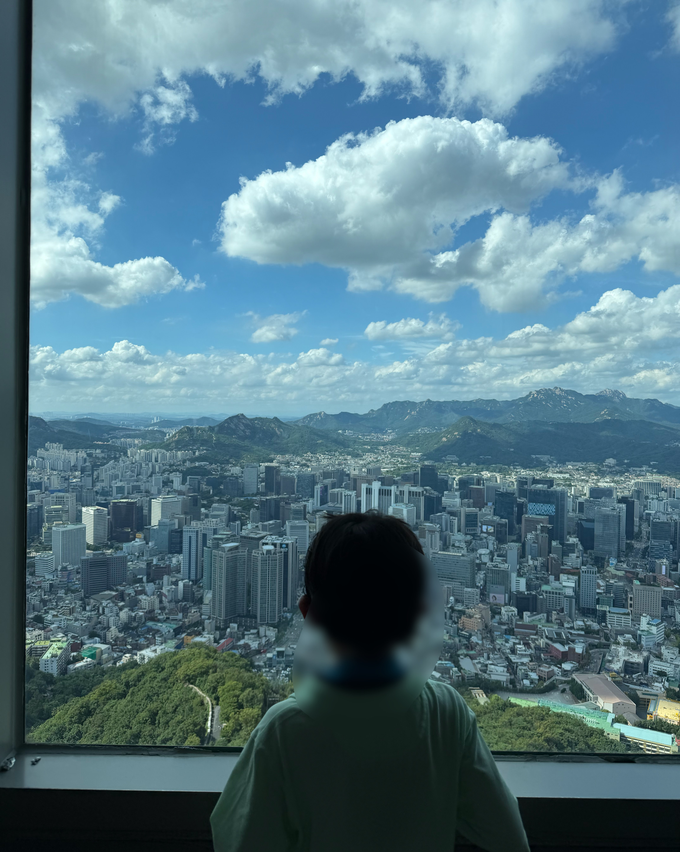 N서울타워 (N Seoul Tower), photo 3