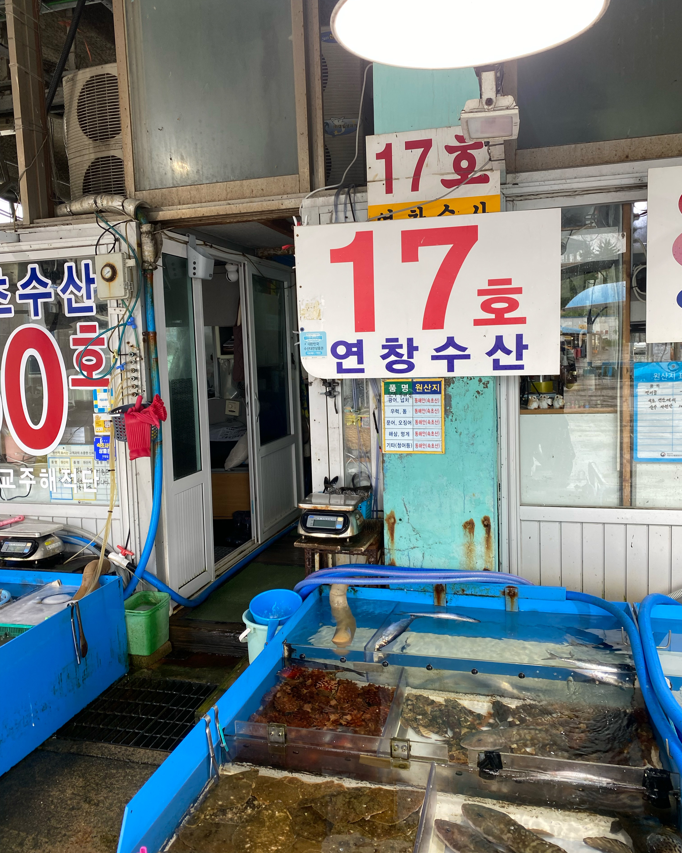 동명항 5