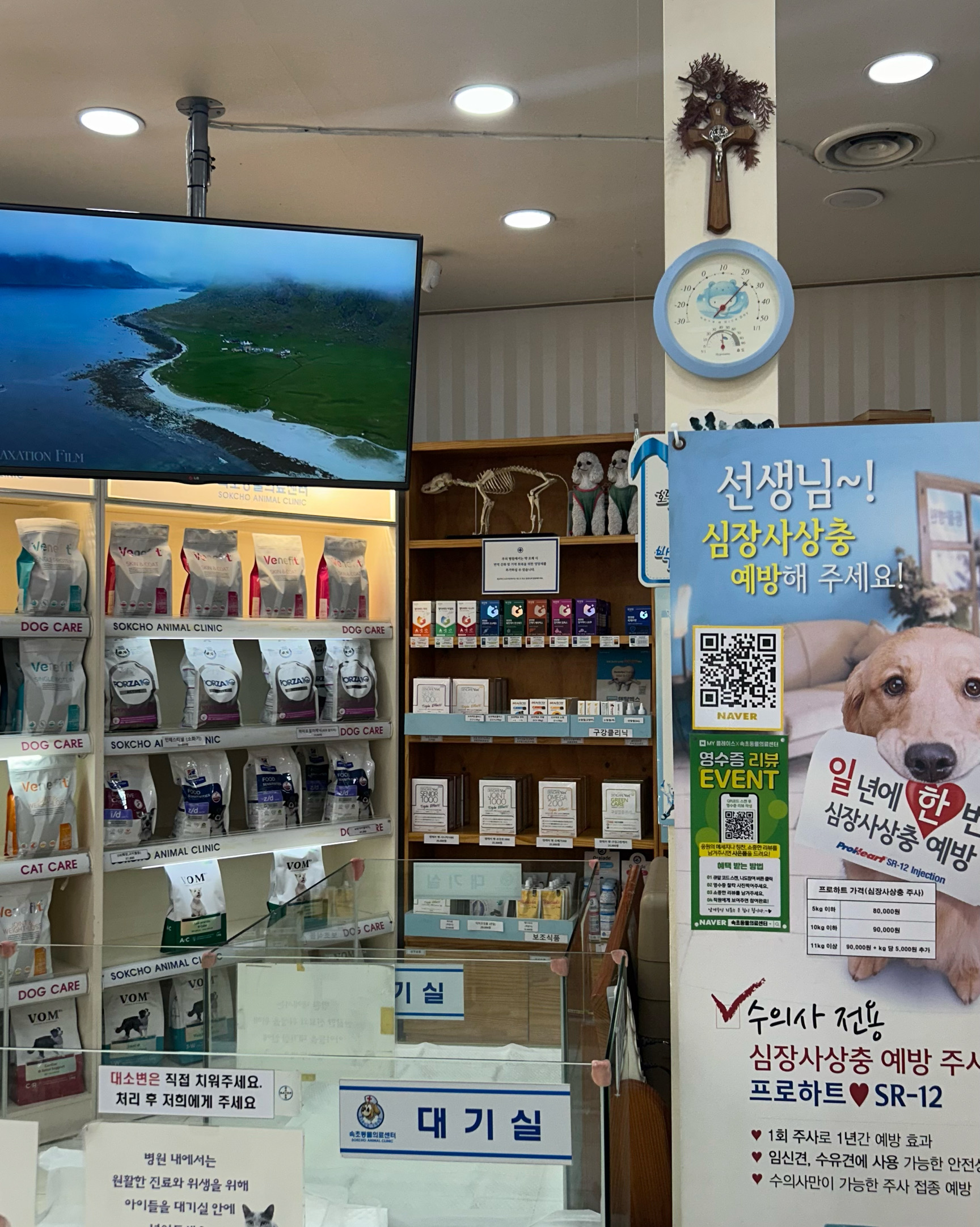 속초동물의료센터 8