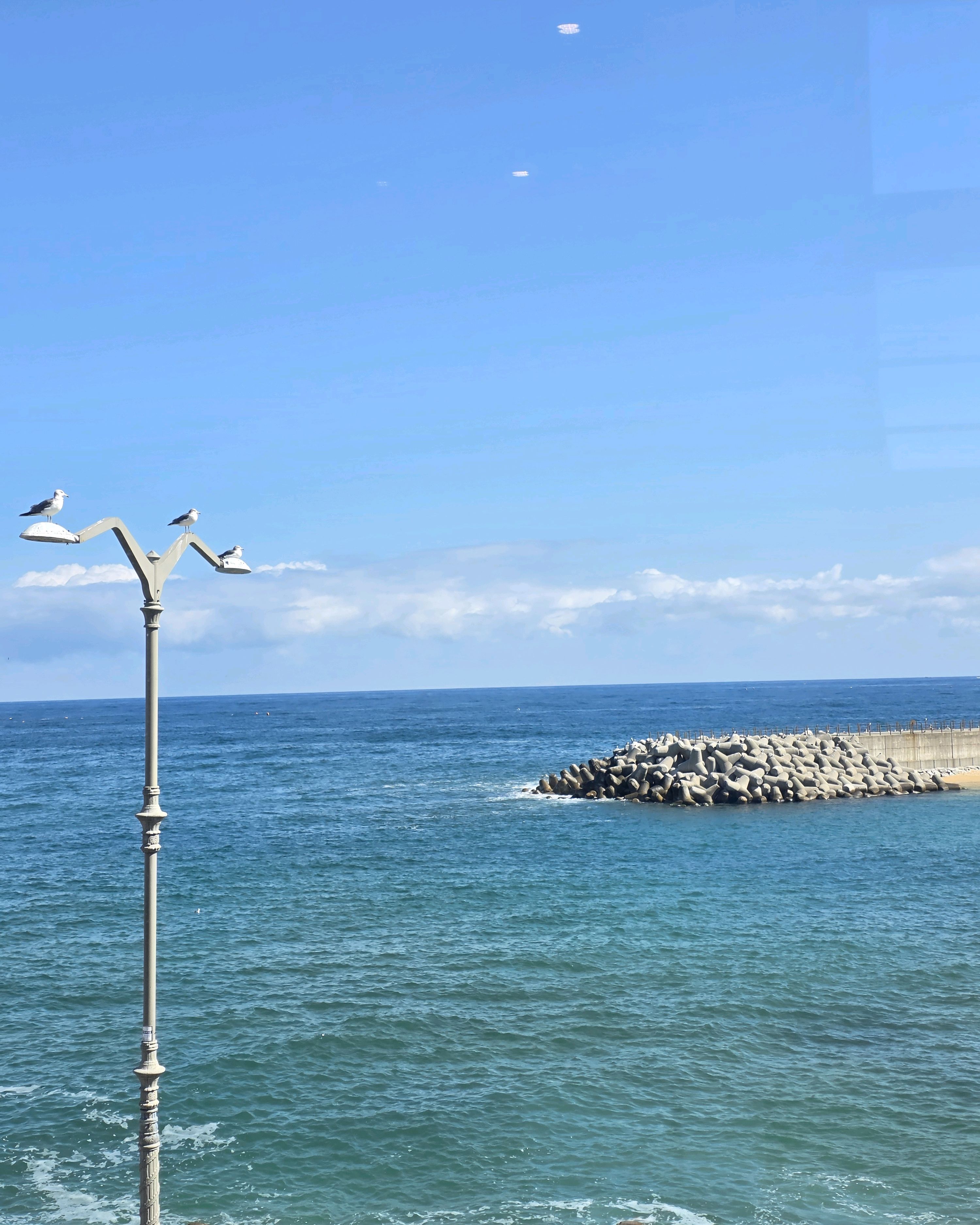 할리스 속초영랑해변DI점 8