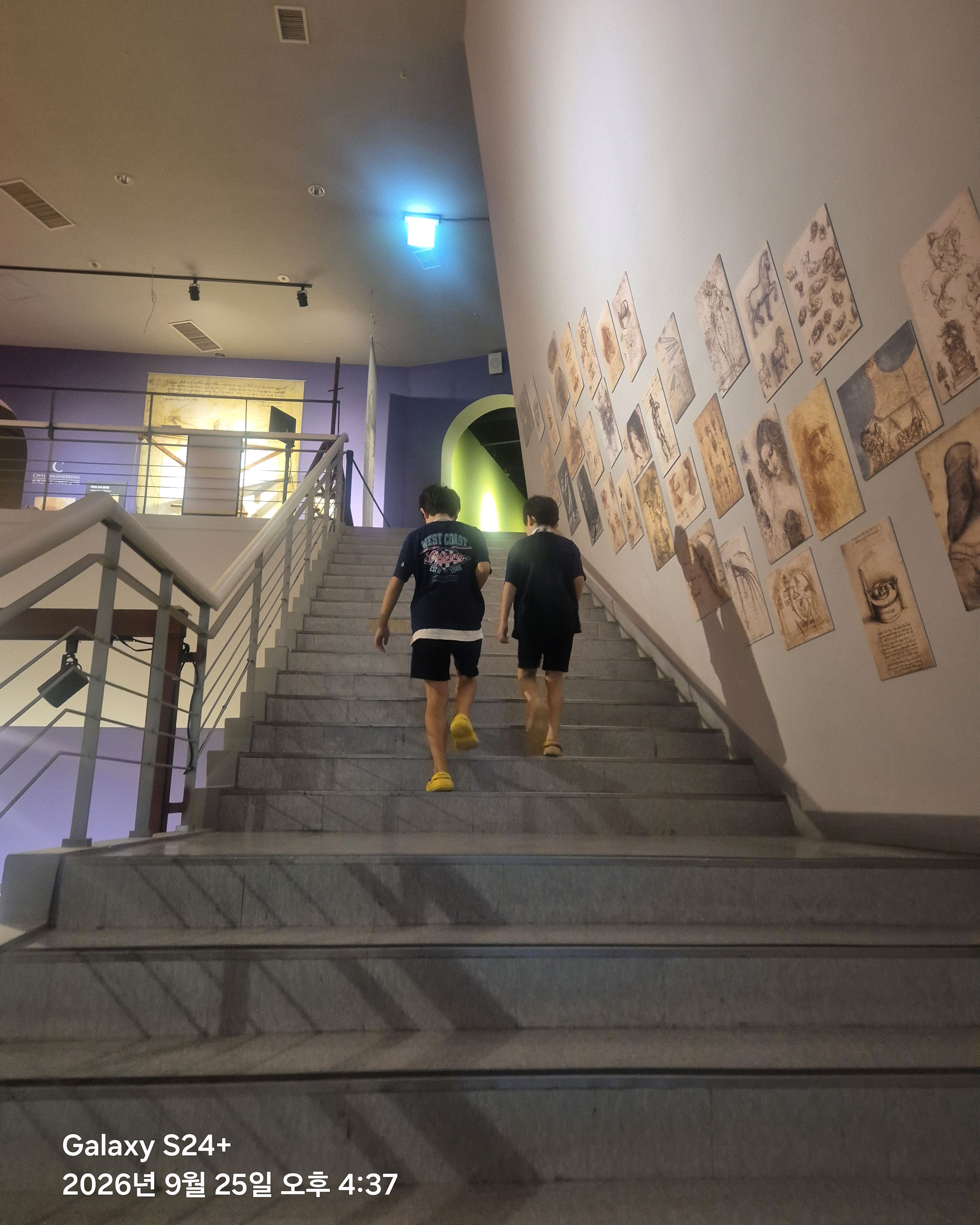 피노디아 엑스포타워 6