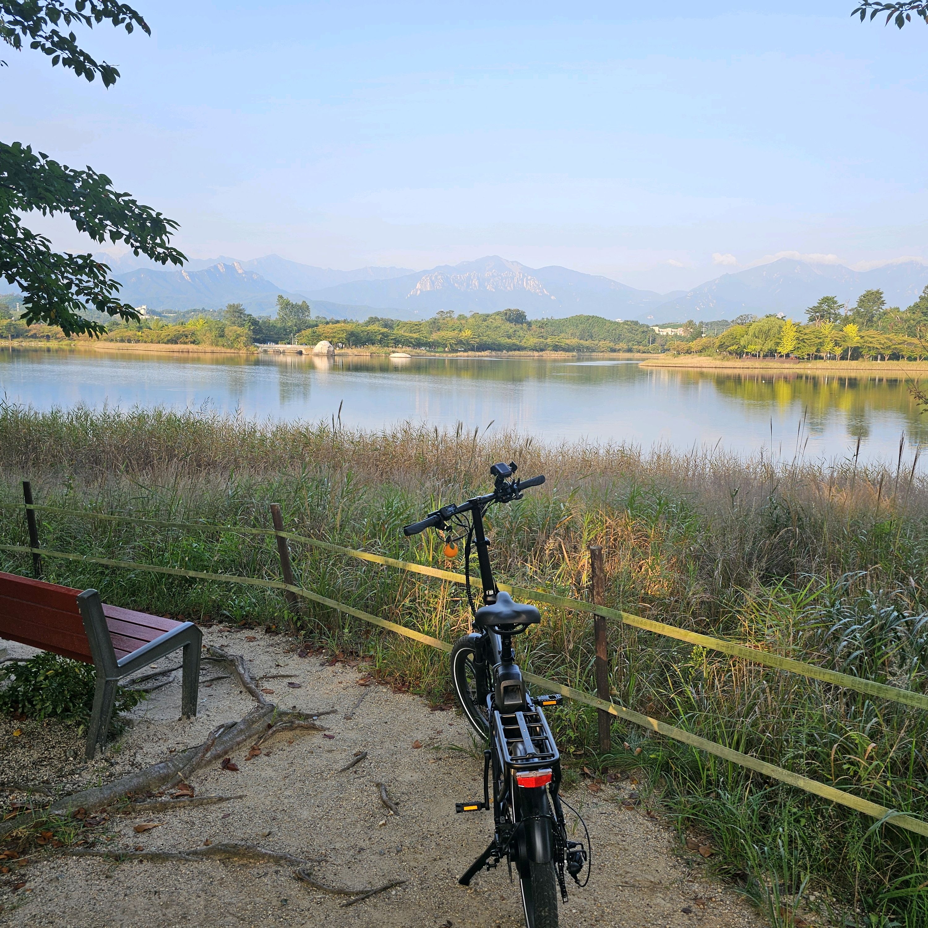속초생대구 (Sokcho Saeng Daegu) 5