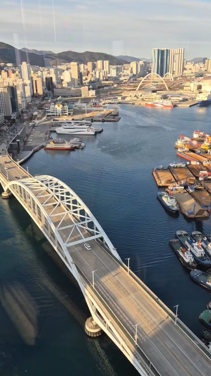 부산의 풍경과 다리