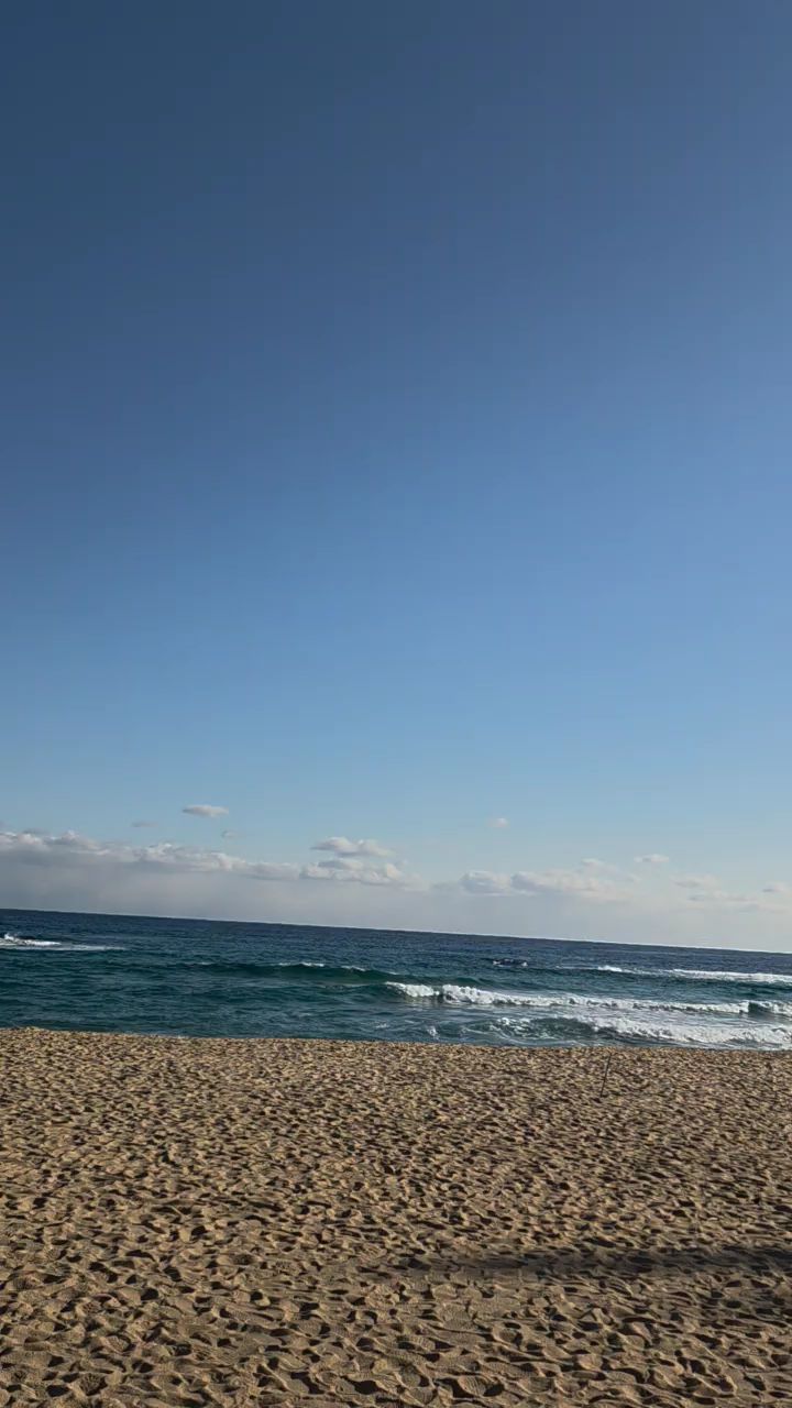 외옹치항 (Oeongchi Port) 5