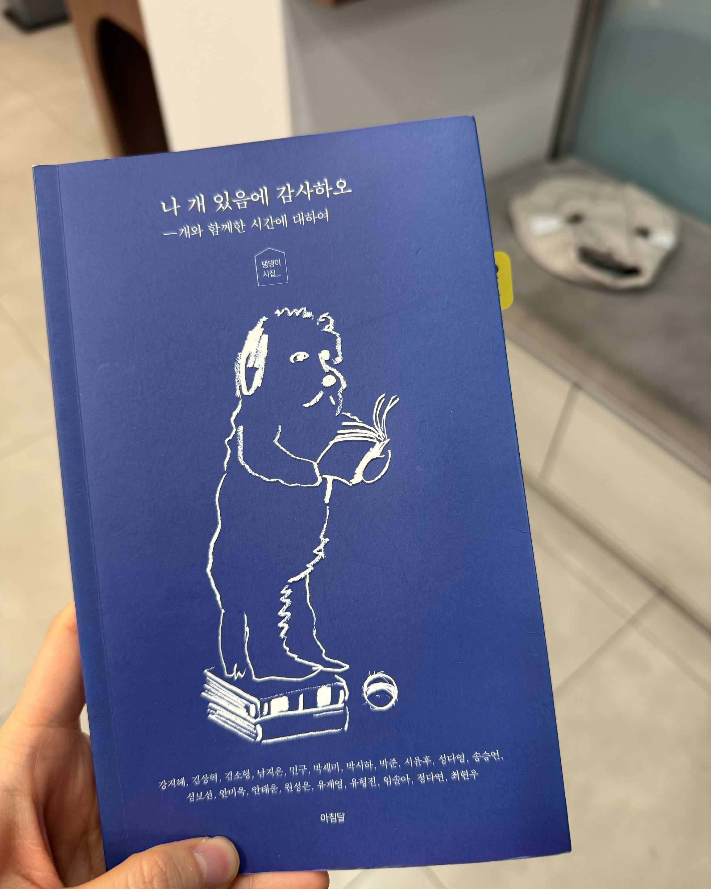 리뷰 사진 3