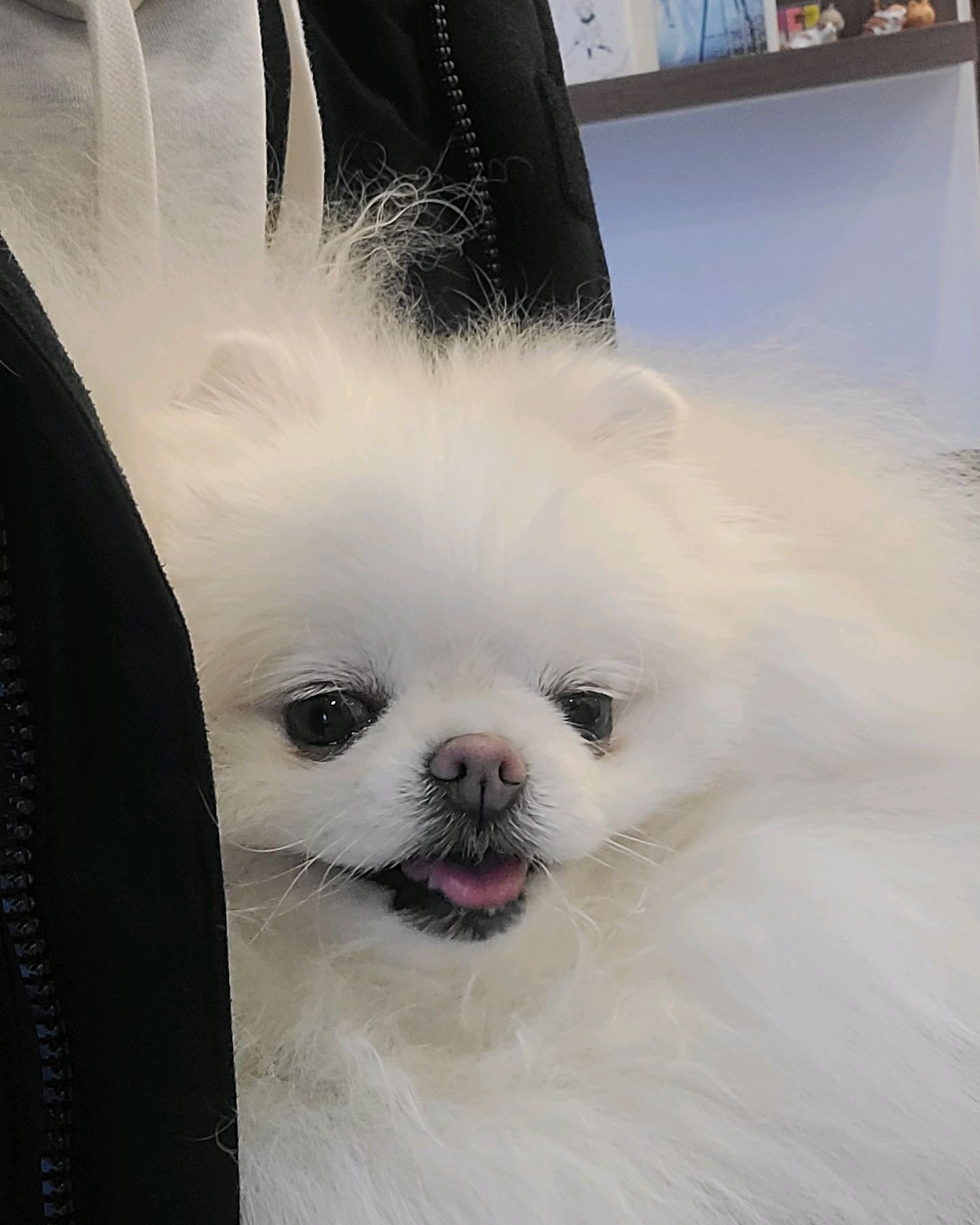 리뷰 사진 1