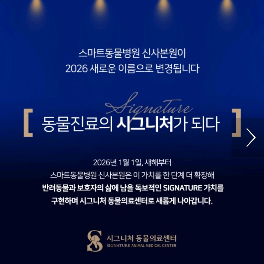 리뷰 사진 1