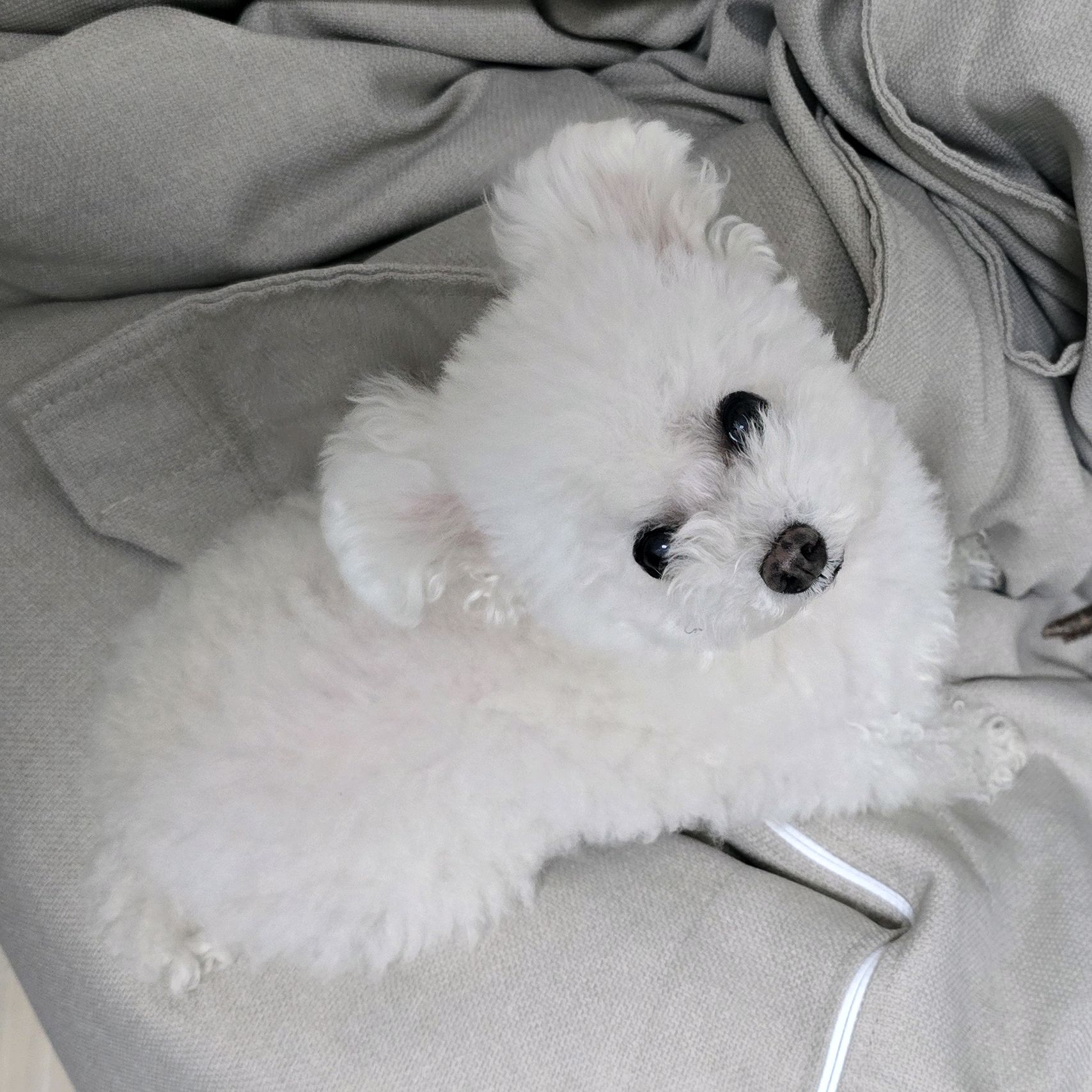 리뷰 사진 1