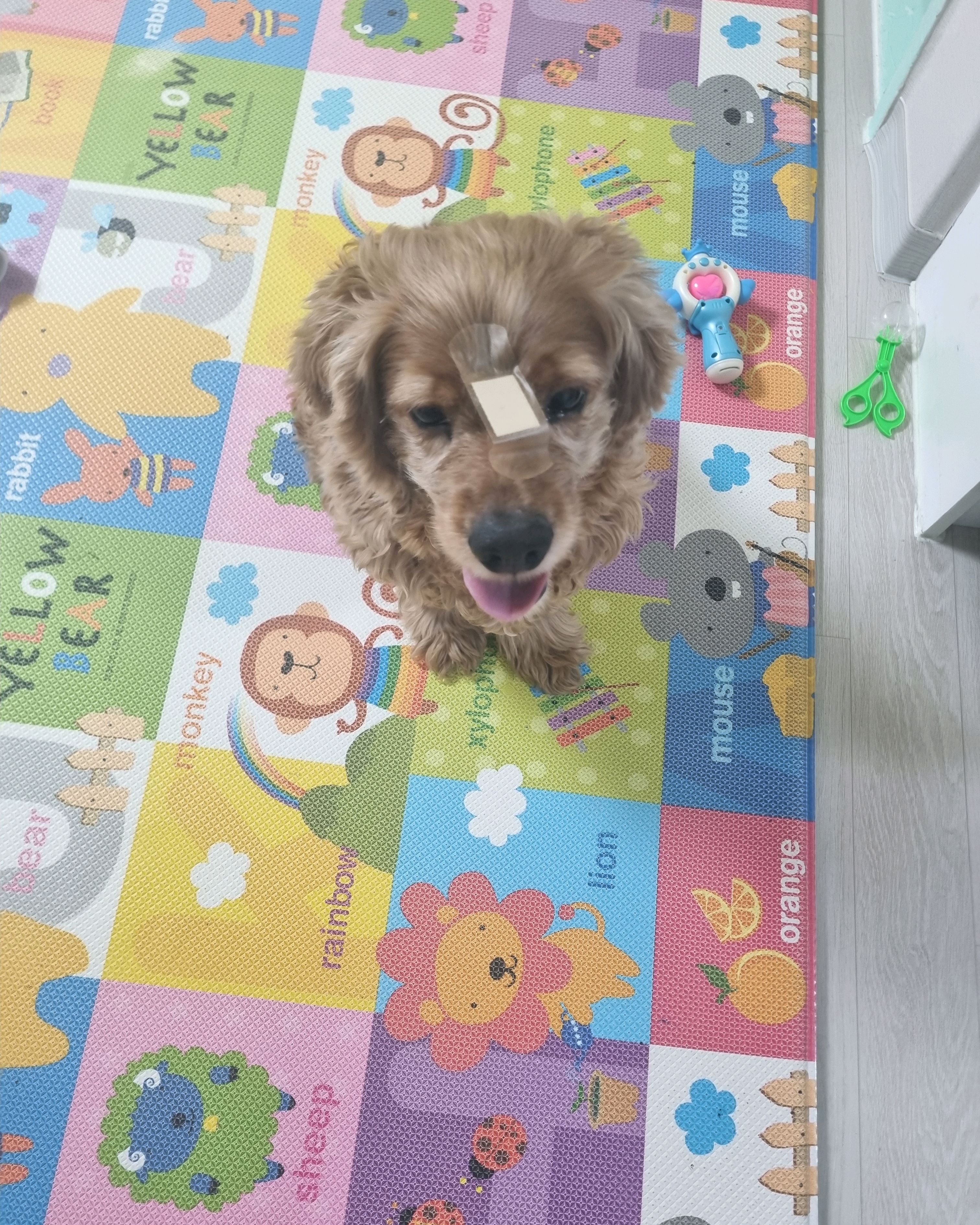 리뷰 사진 1