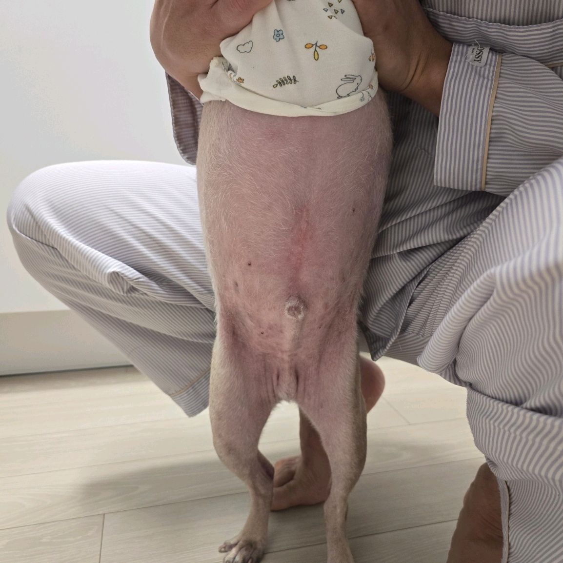 리뷰 사진 3