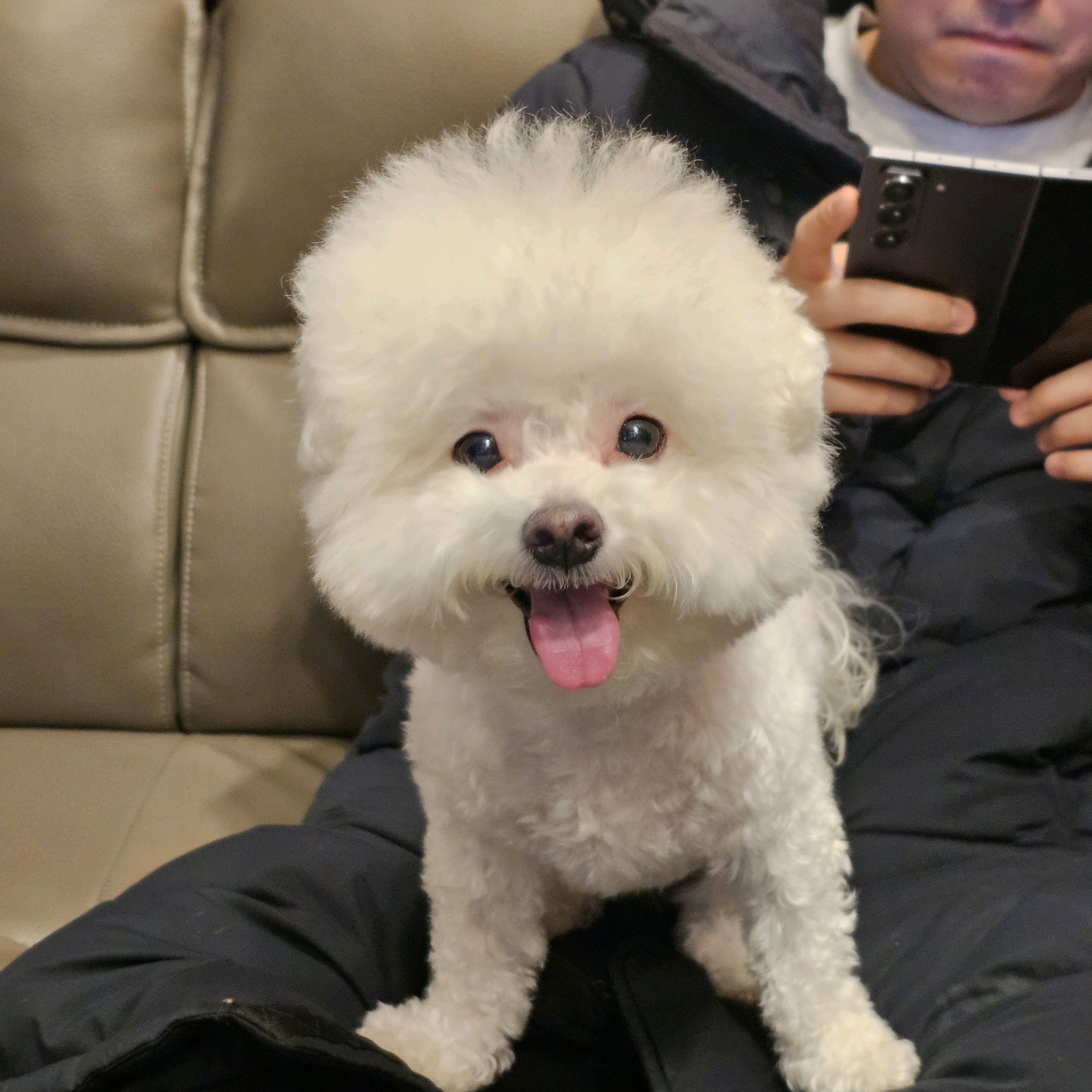 리뷰 사진 2