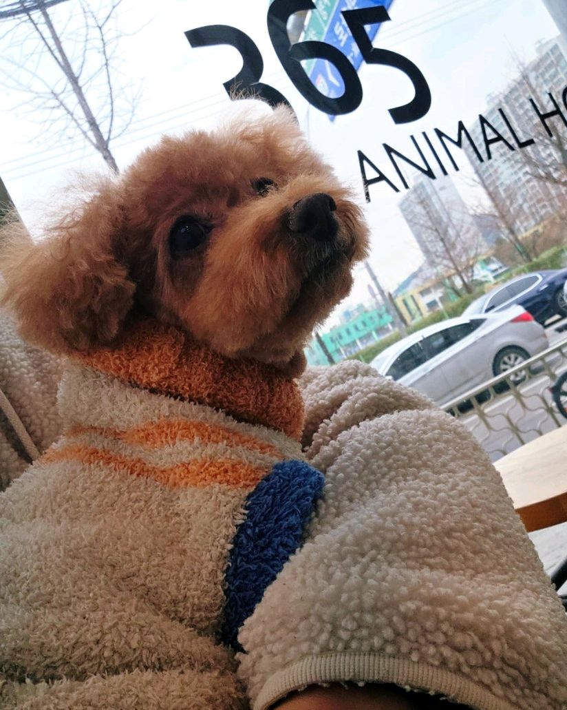 리뷰 사진 2