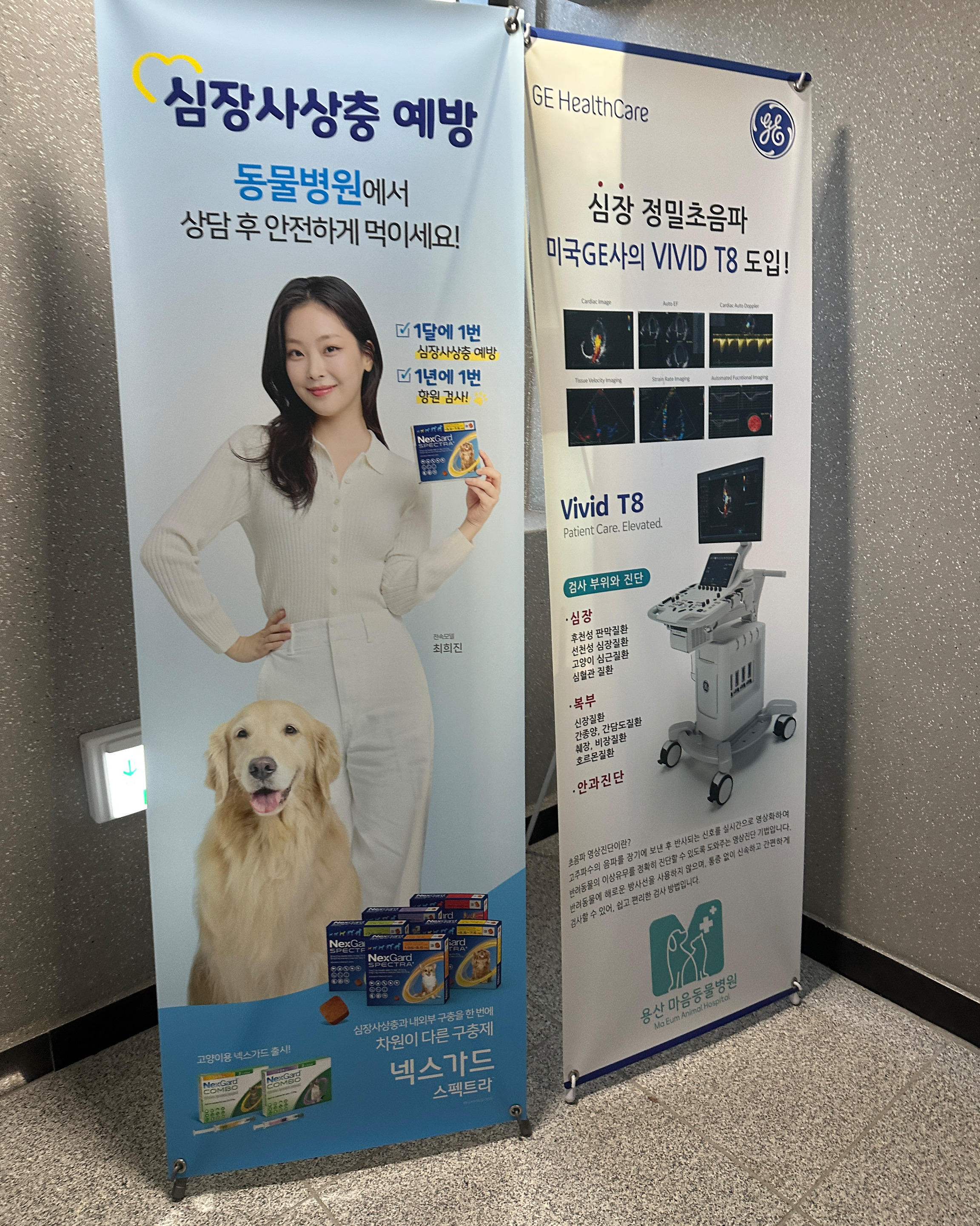 리뷰 사진 2