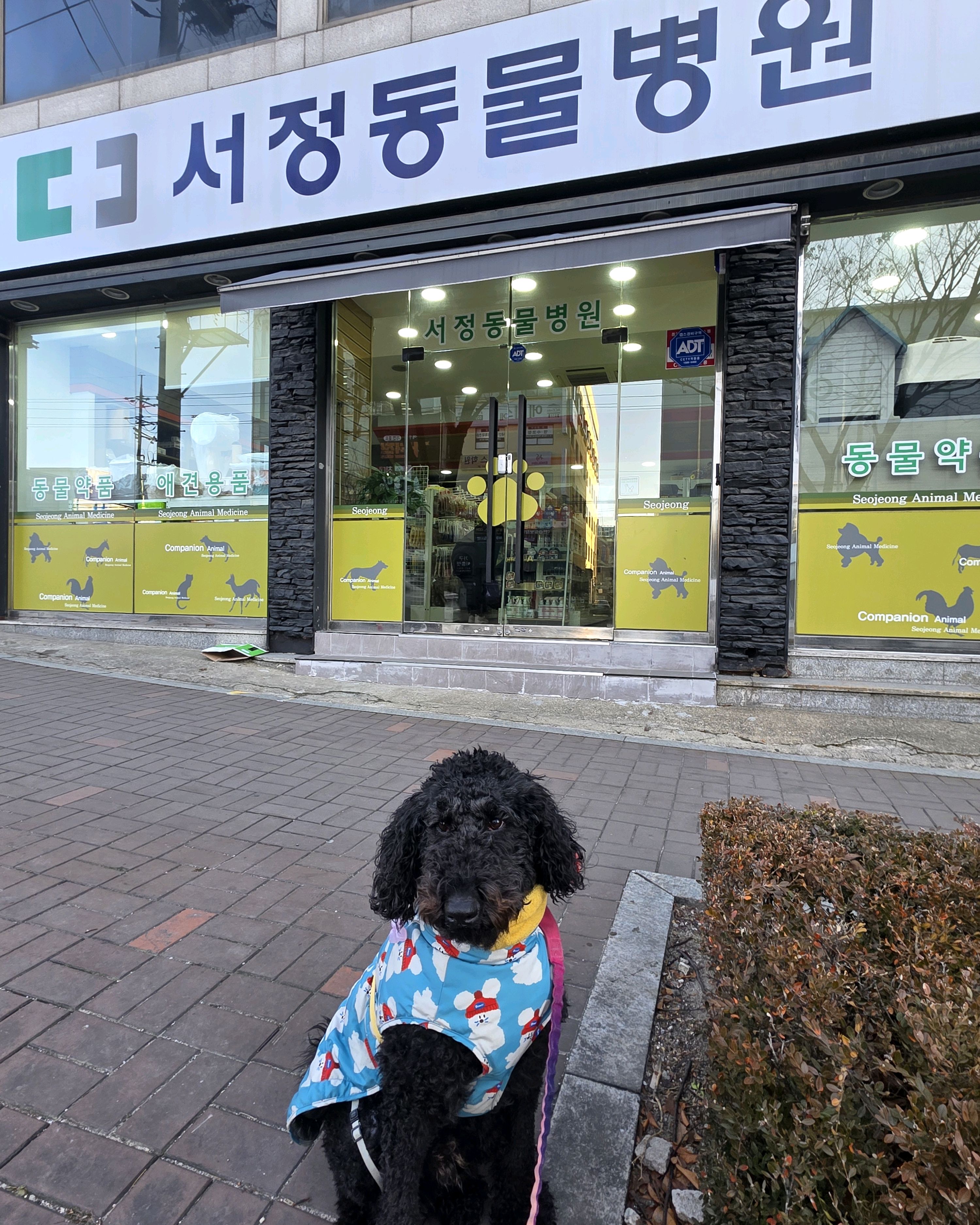 리뷰 사진 1