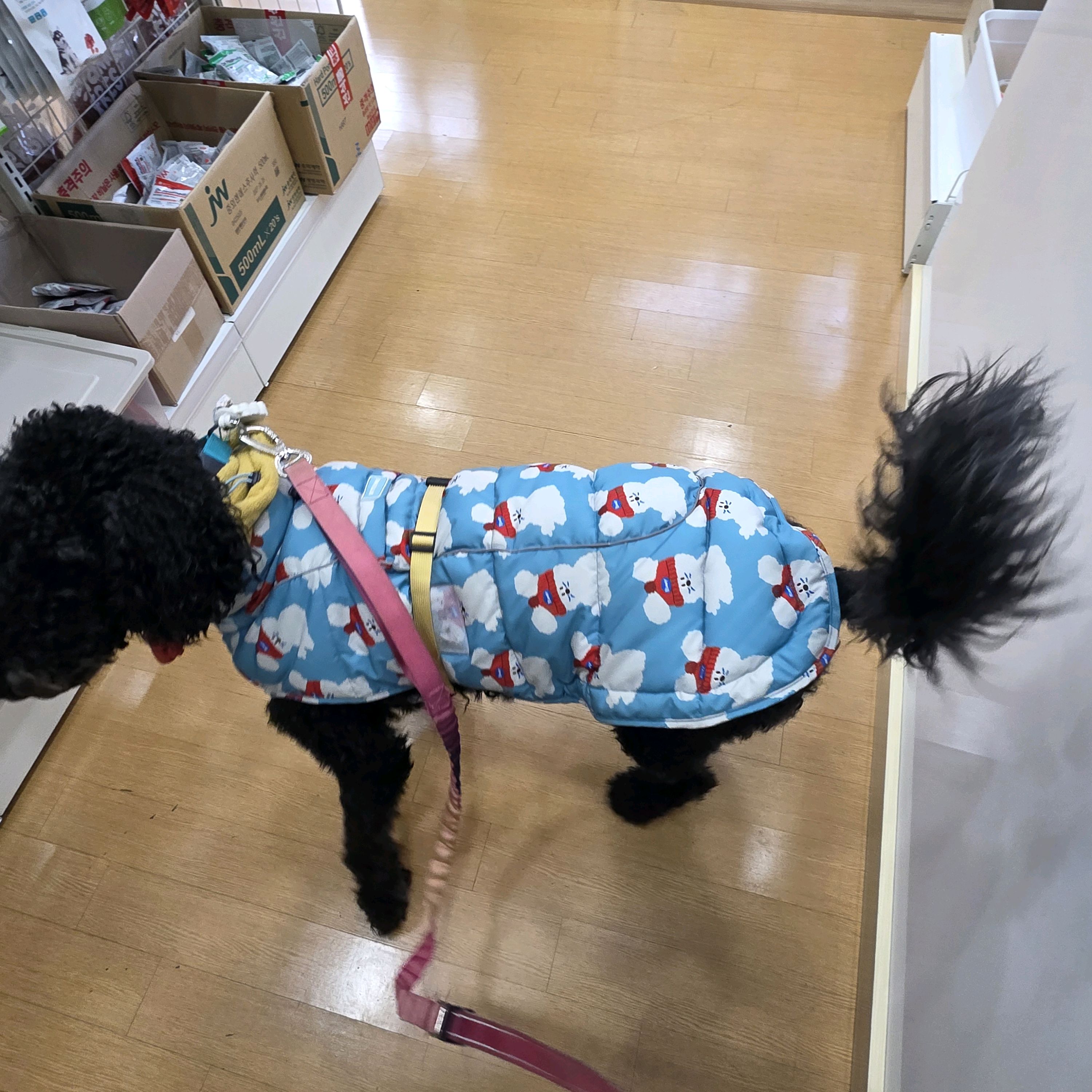 리뷰 사진 2
