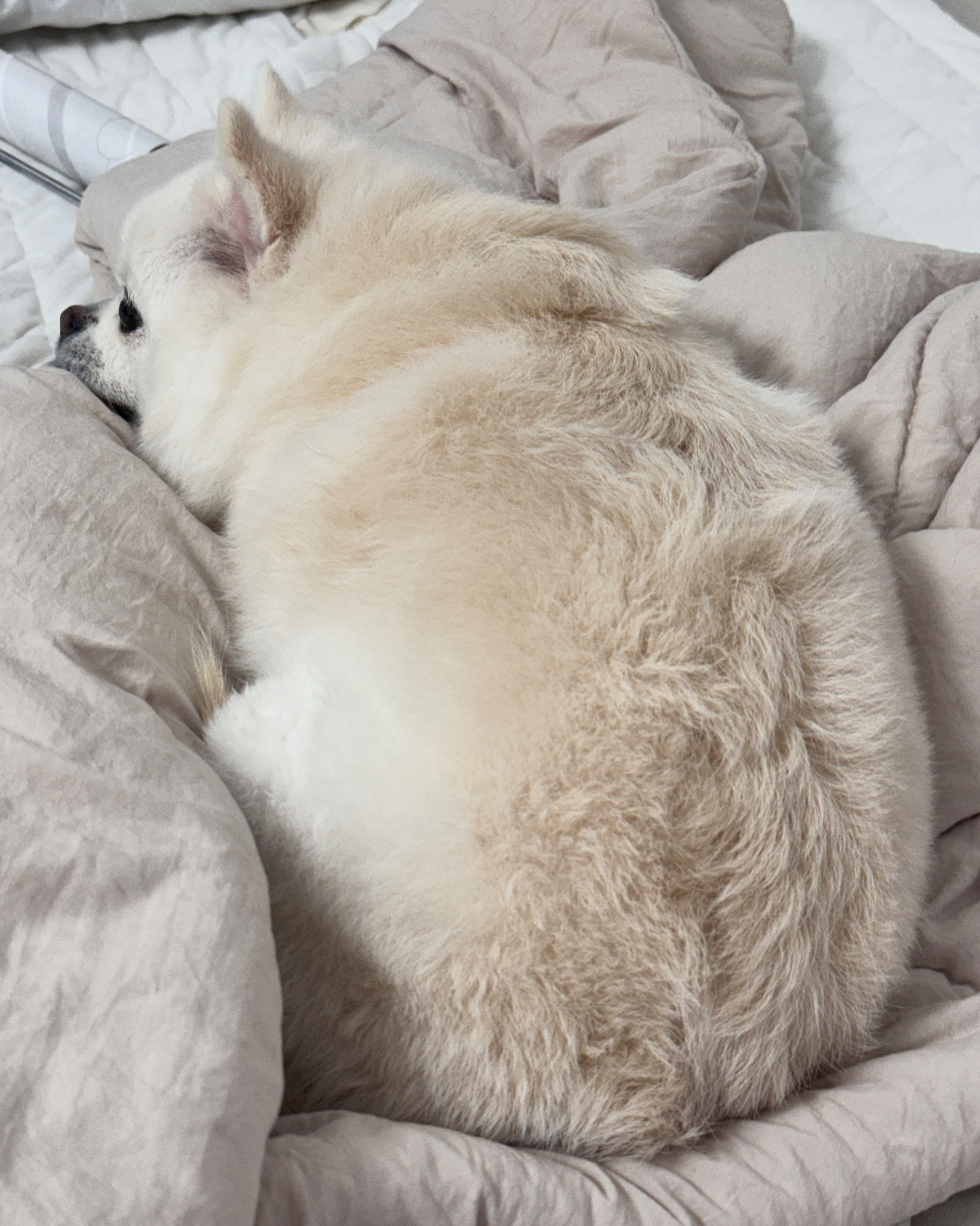 리뷰 사진 2