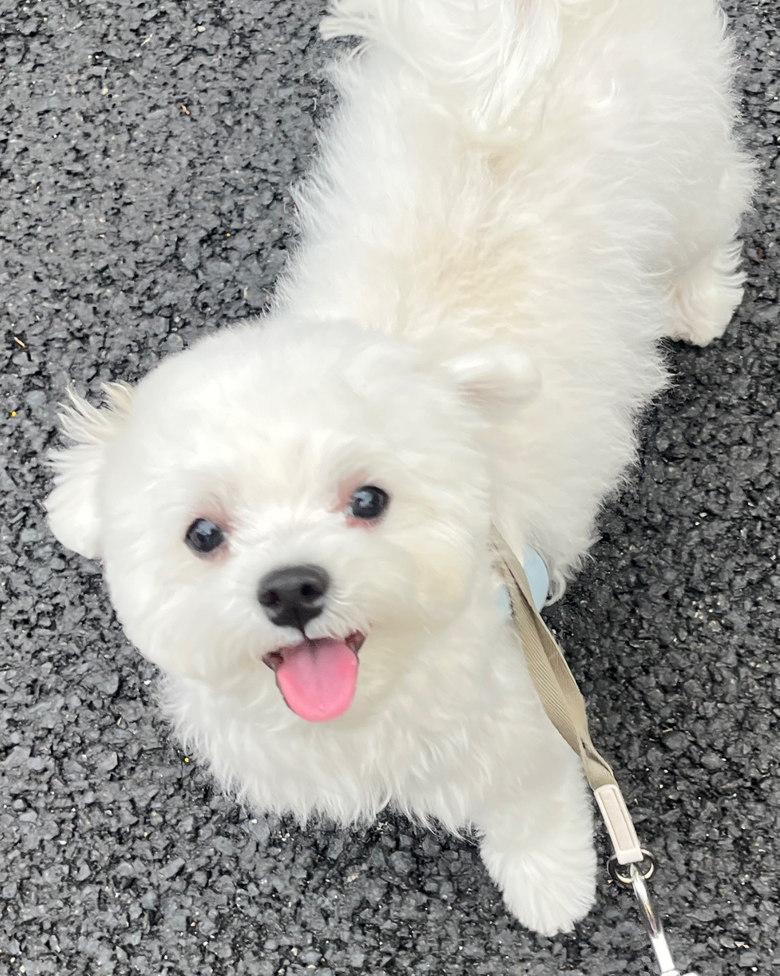 리뷰 사진 1