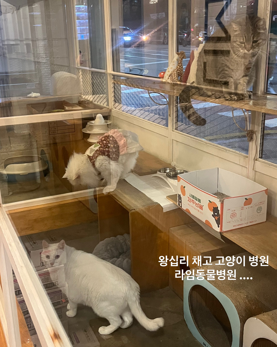 리뷰 사진 1