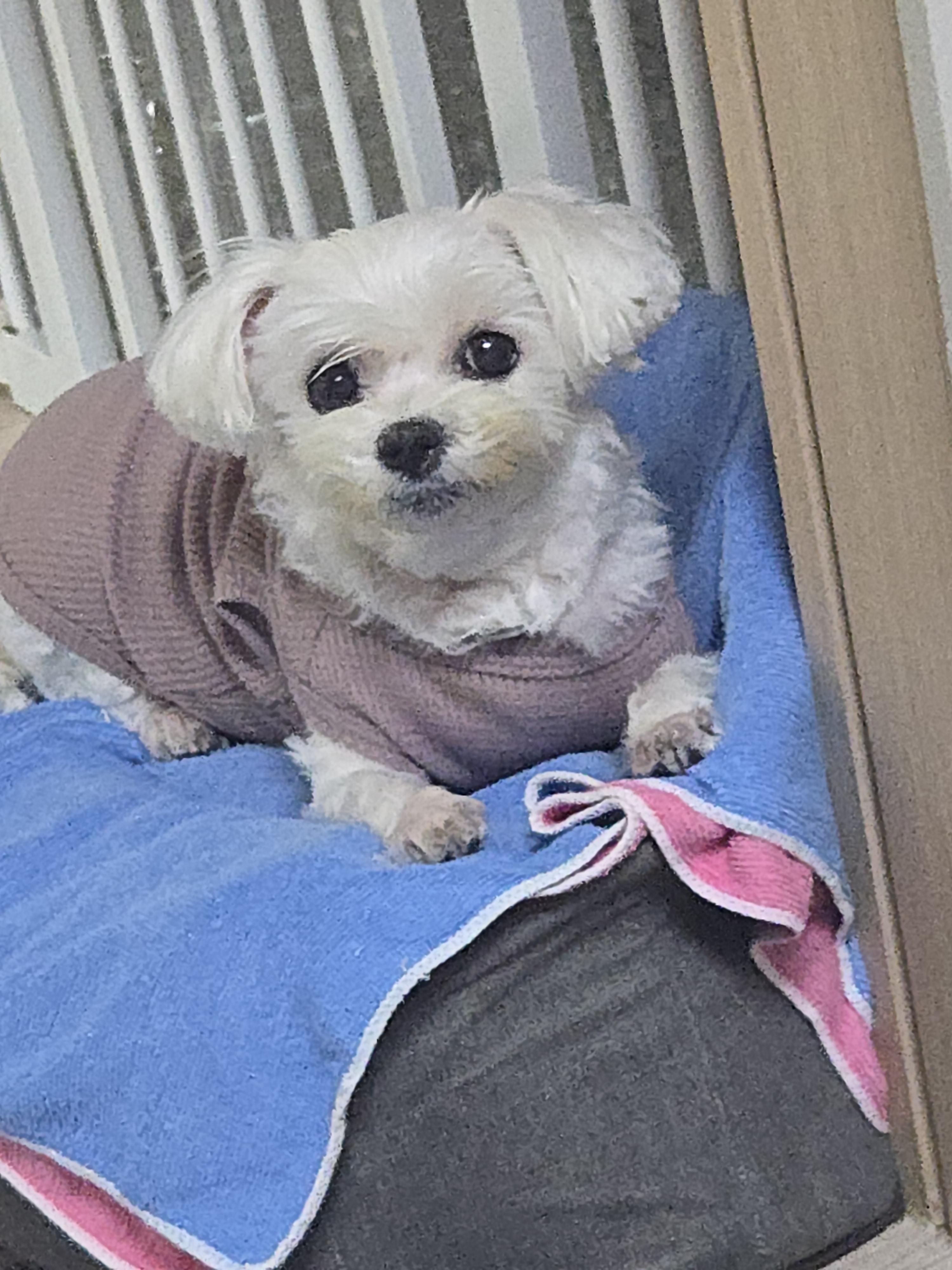 리뷰 사진 1