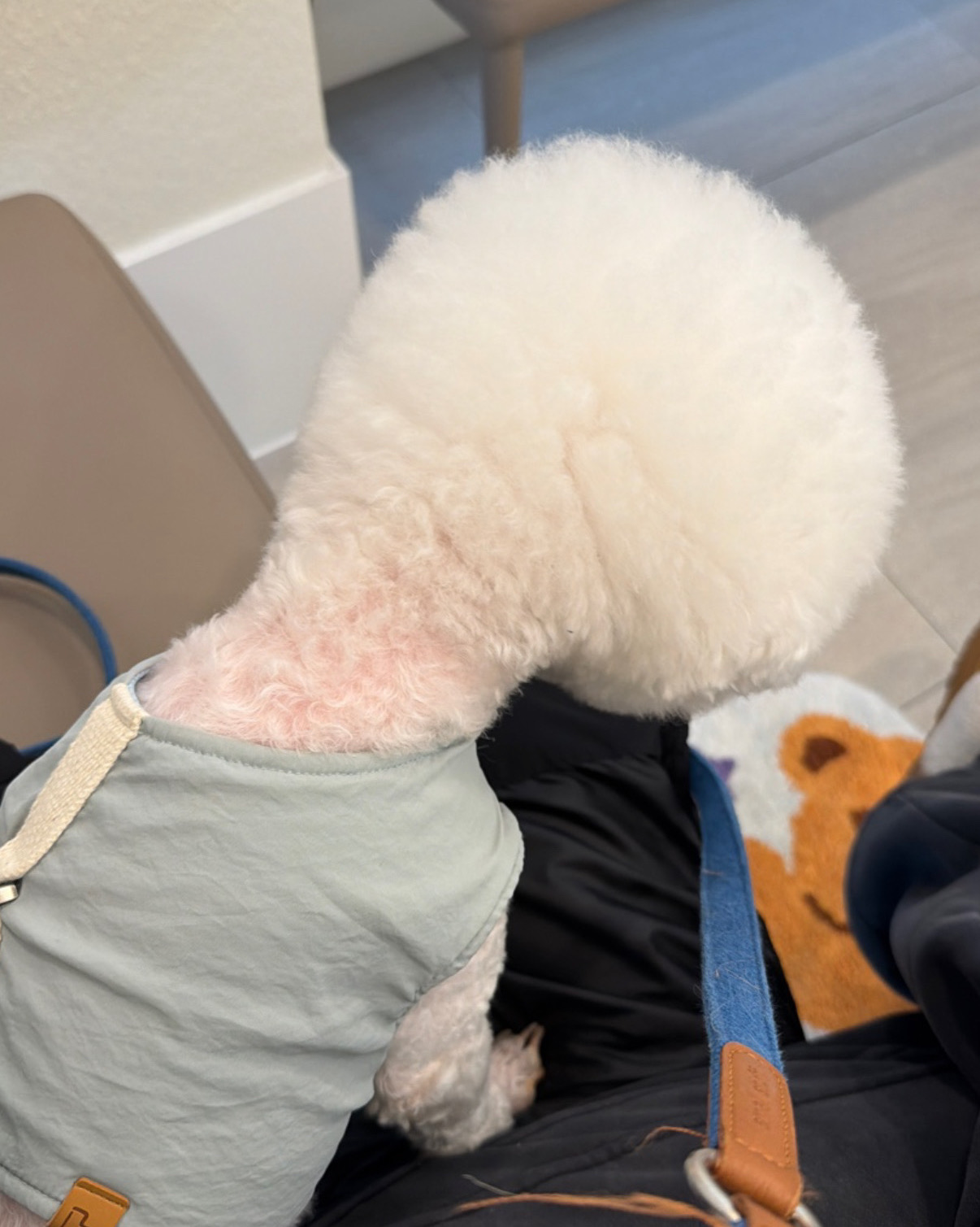 리뷰 사진 1