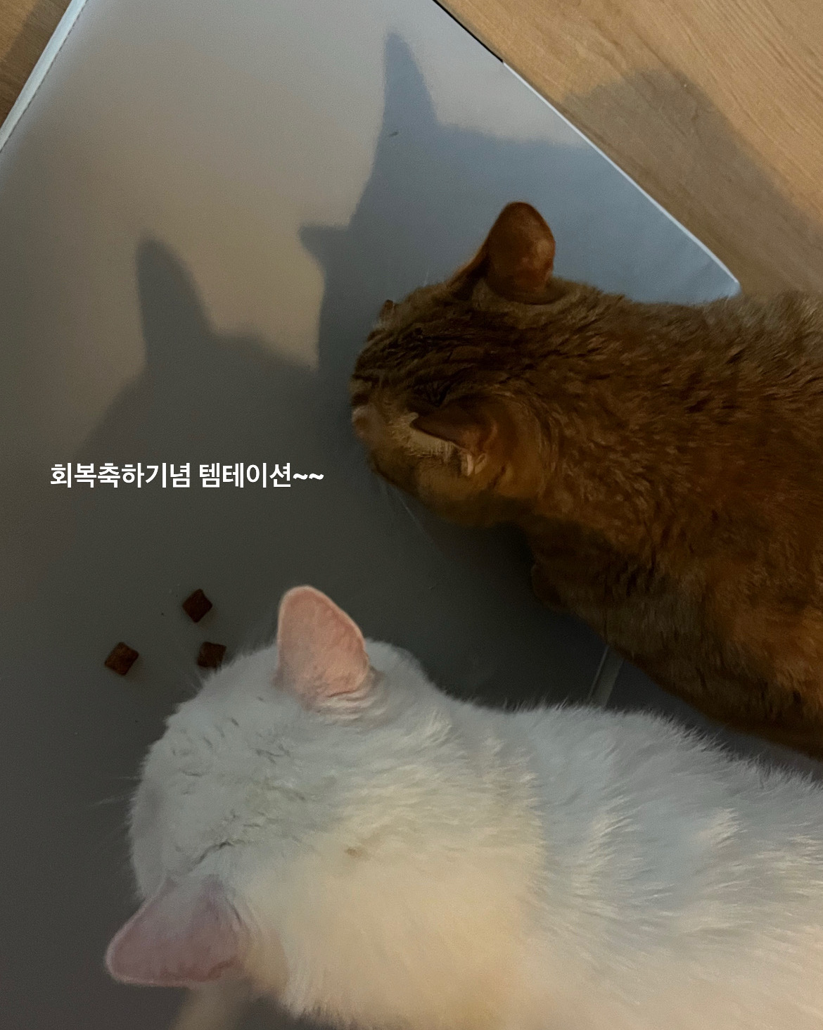 리뷰 사진 3