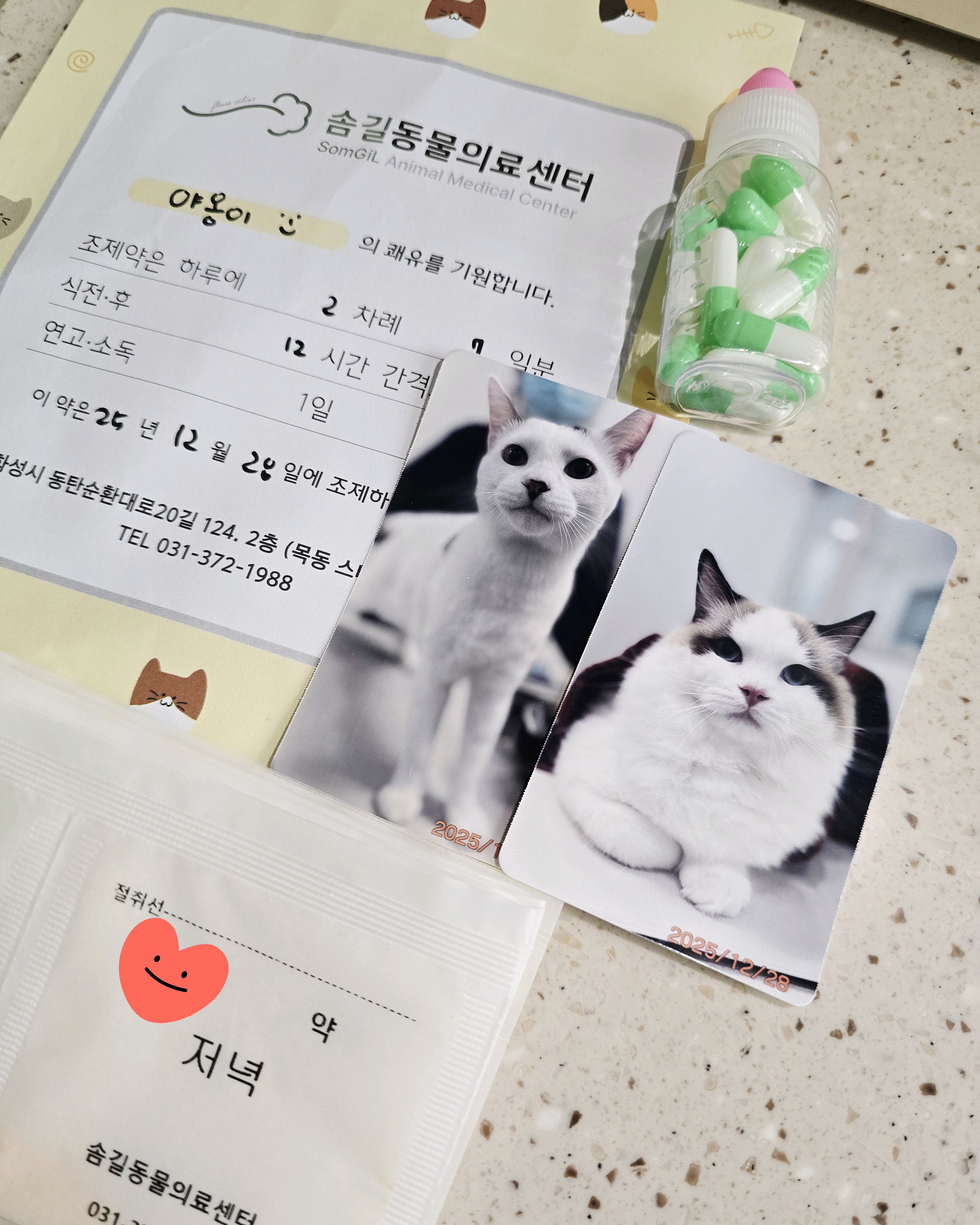 리뷰 사진 3