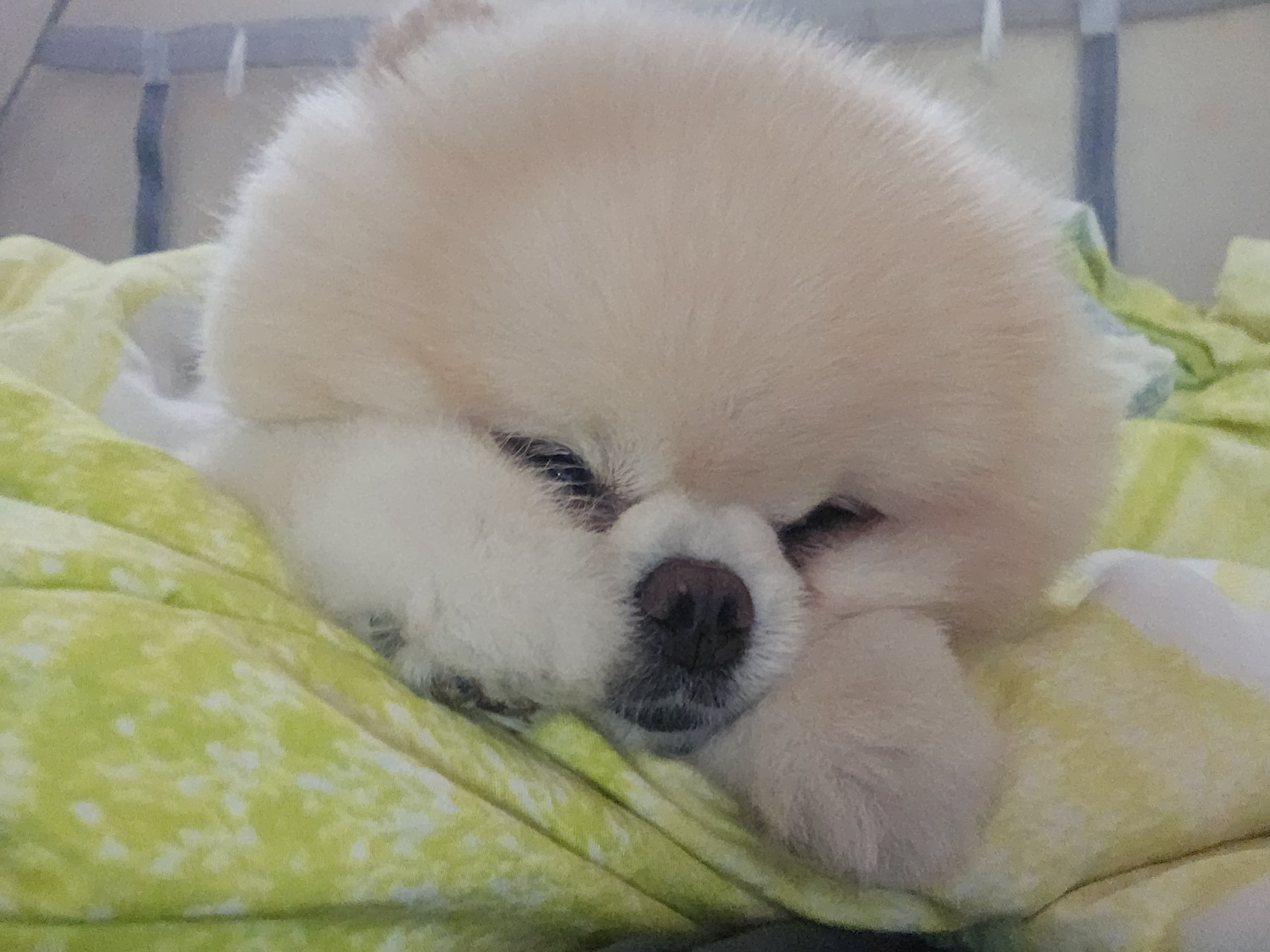 카페 내부 전경