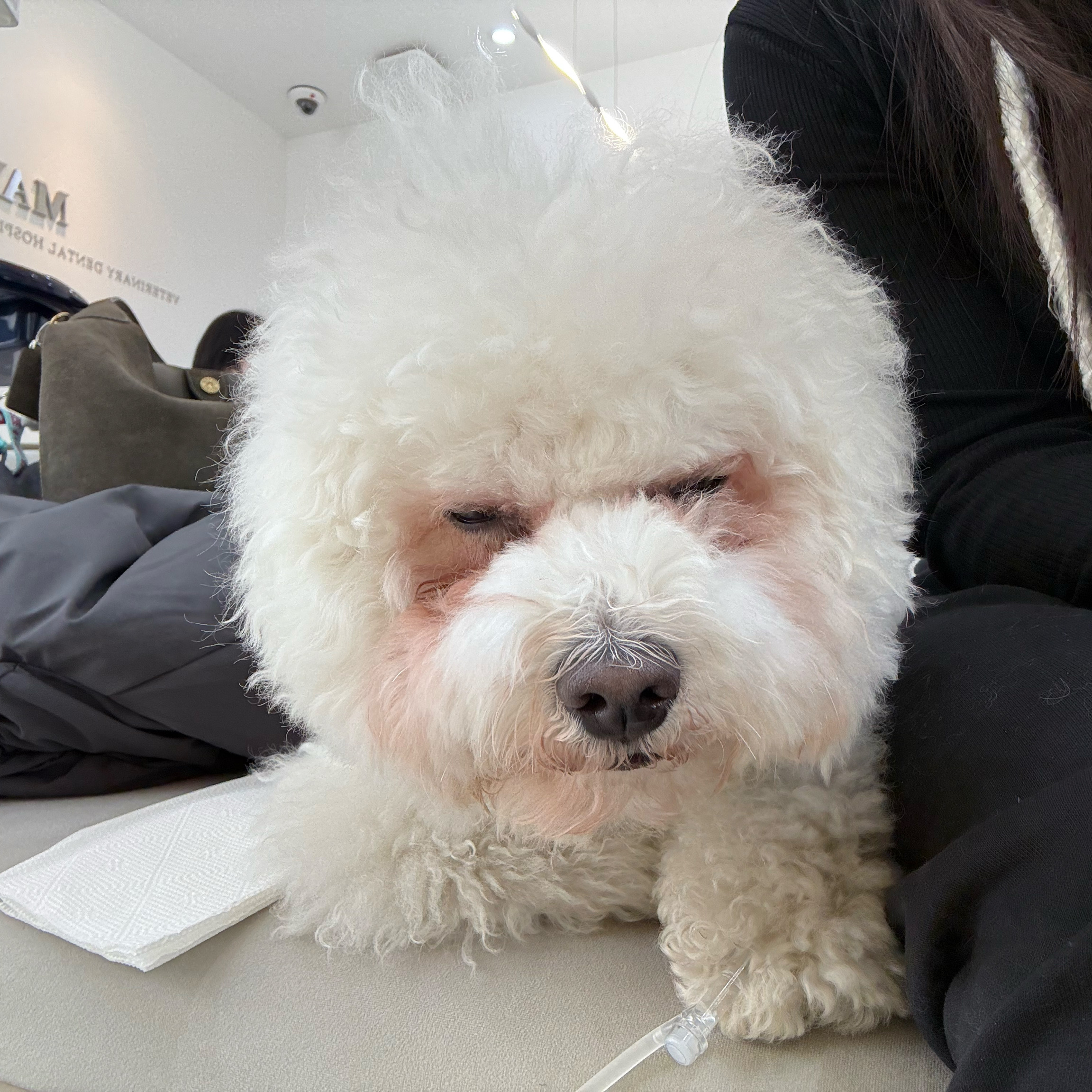 리뷰 사진 3