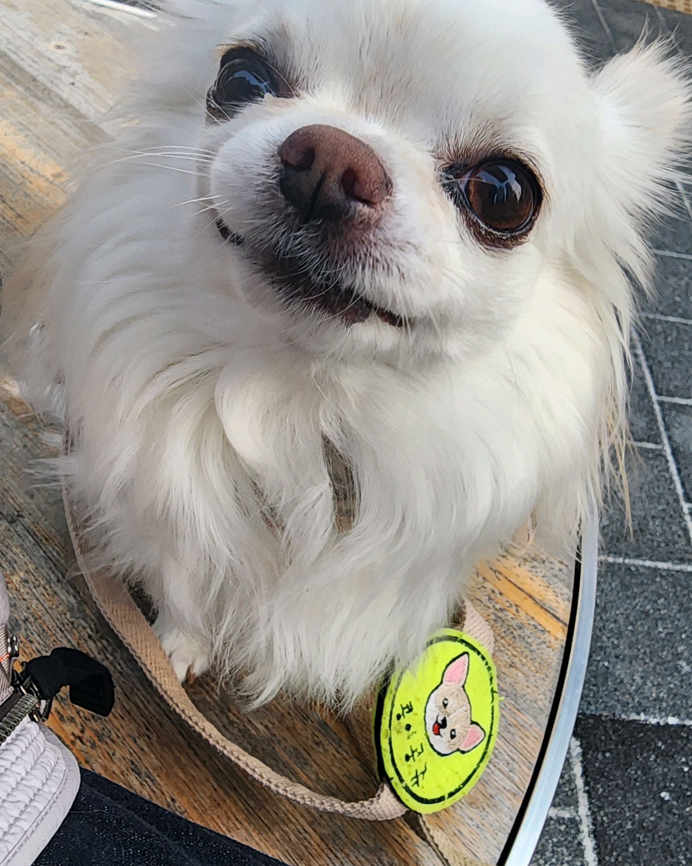 리뷰 사진 1