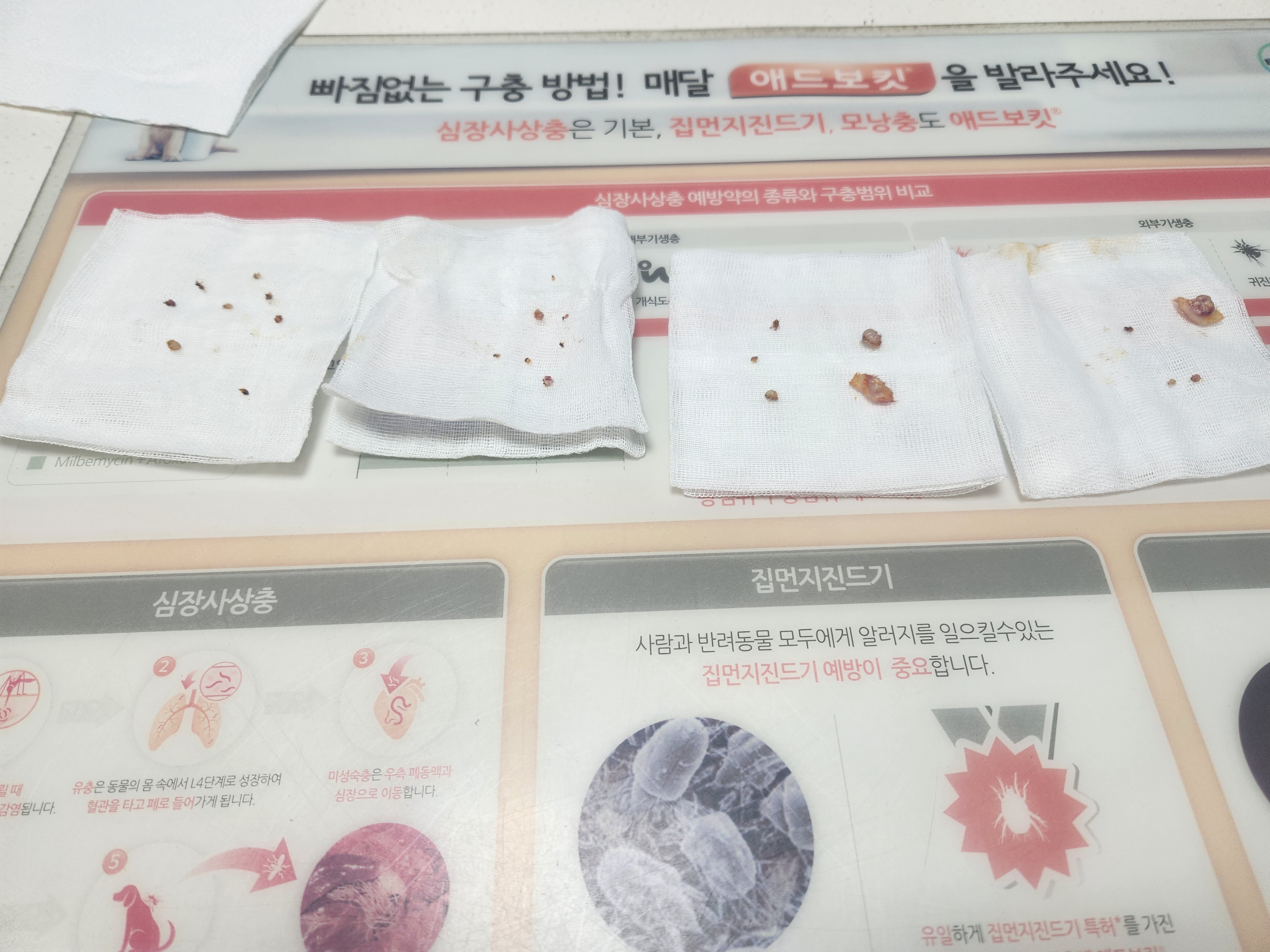 리뷰 사진 1