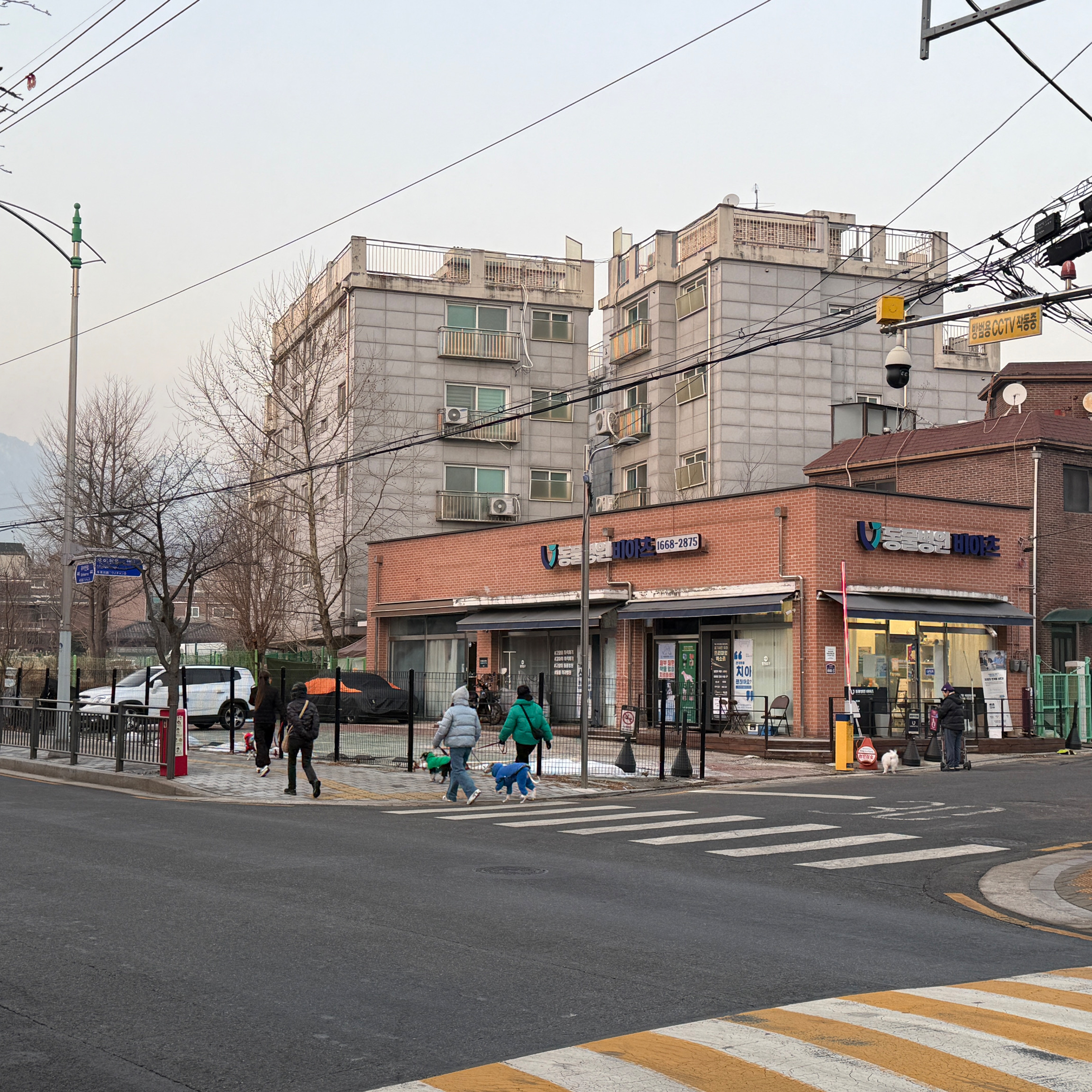 리뷰 사진 1