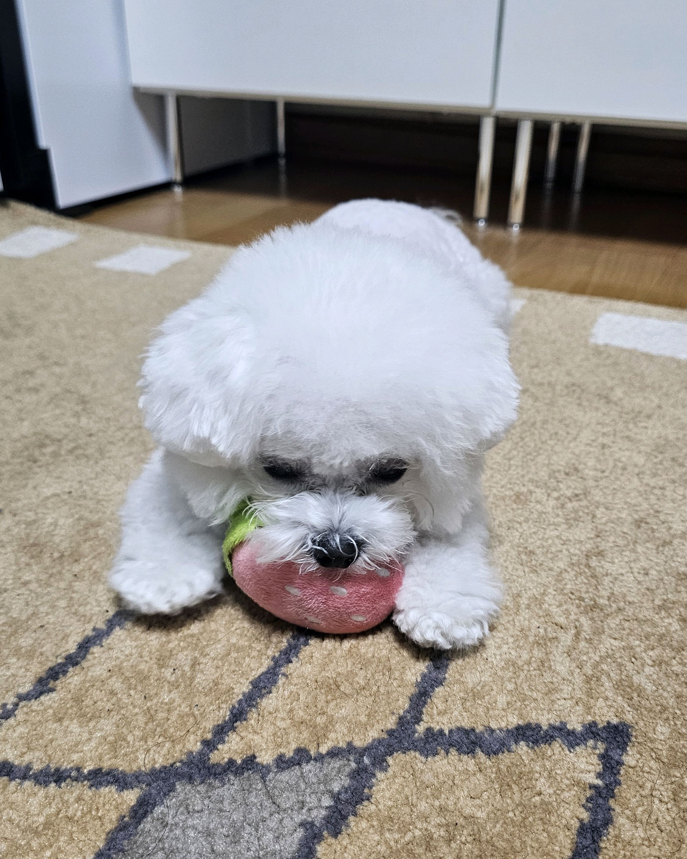 리뷰 사진 1
